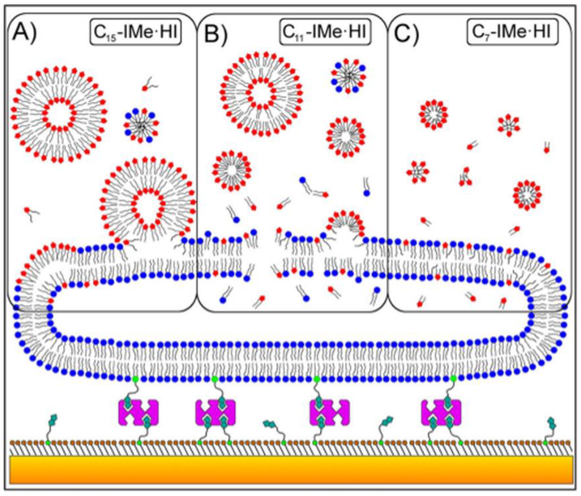 Pharmaceutics 11 00096 g003