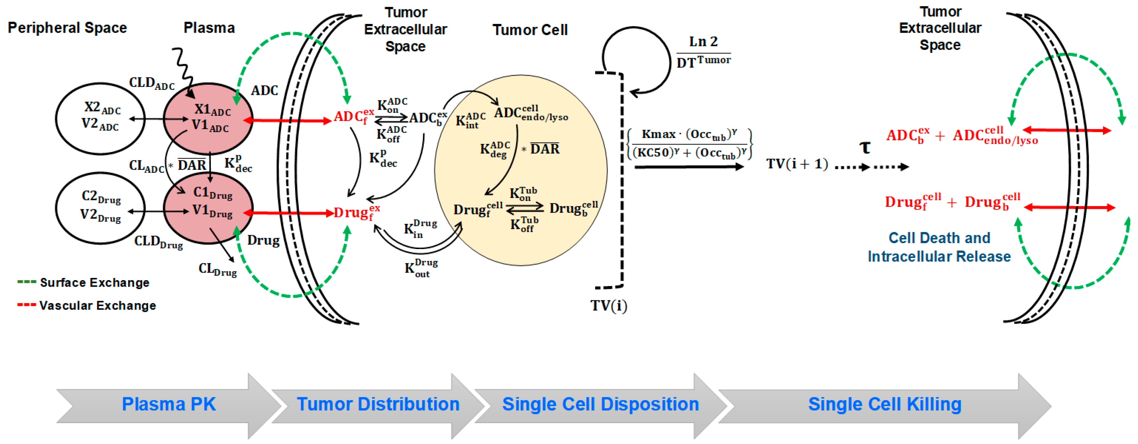 Pharmaceutics 11 00098 g001