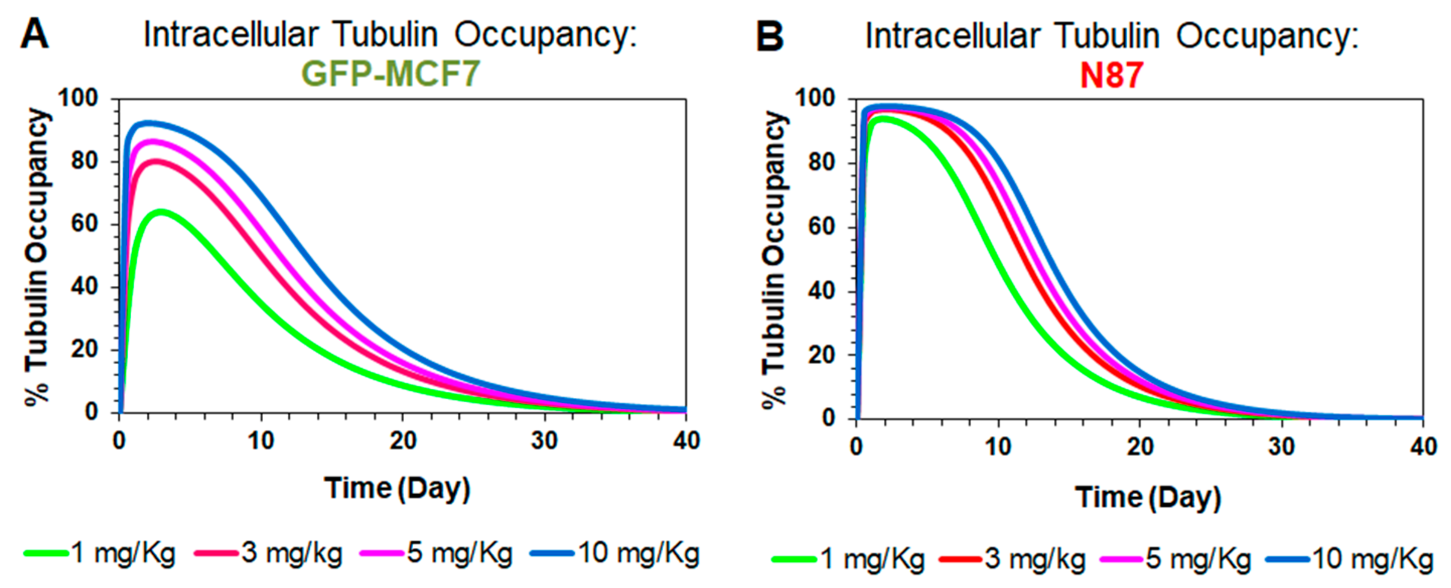 Pharmaceutics 11 00098 g005