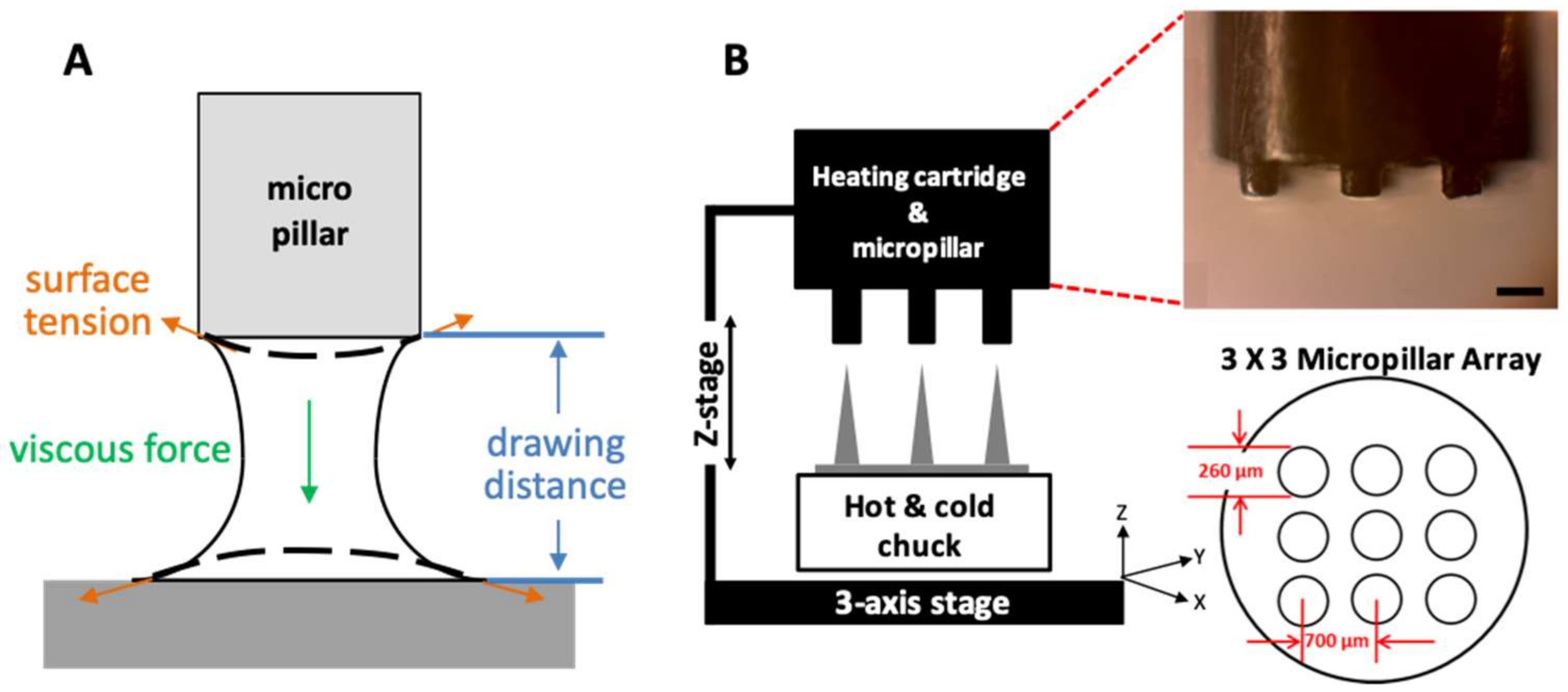 Pharmaceutics 11 00100 g001 Pharmaceutics 11 00100 g001