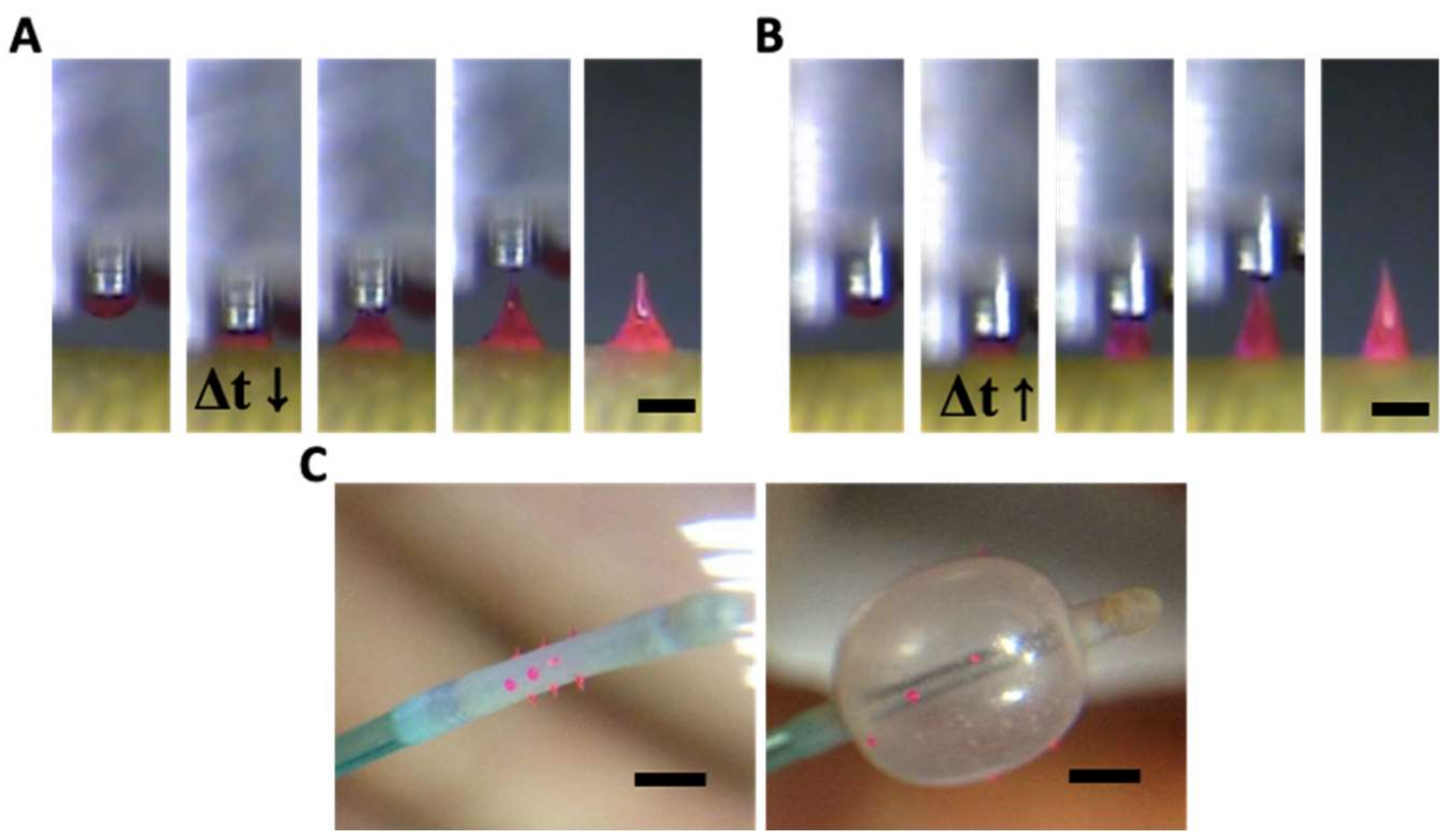 Pharmaceutics 11 00100 g005 Pharmaceutics 11 00100 g005