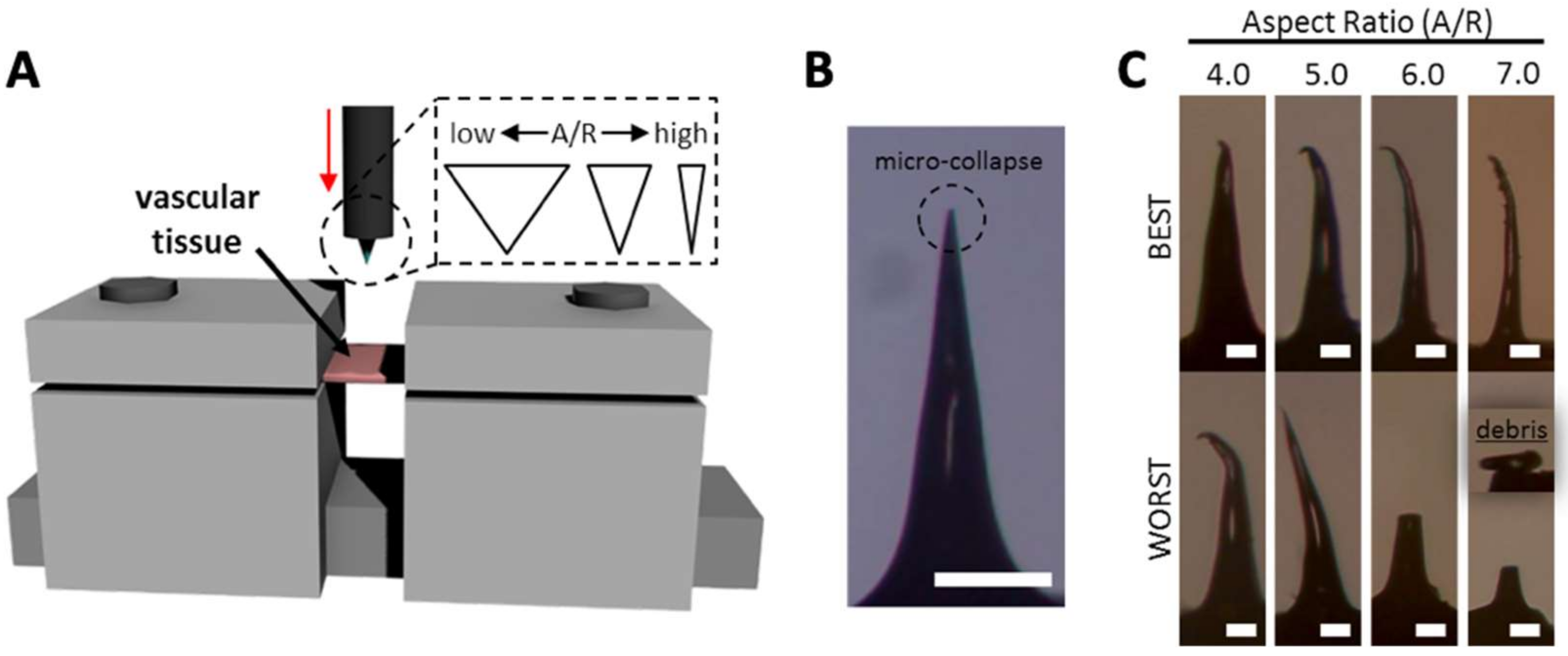 Pharmaceutics 11 00100 g006 Pharmaceutics 11 00100 g006