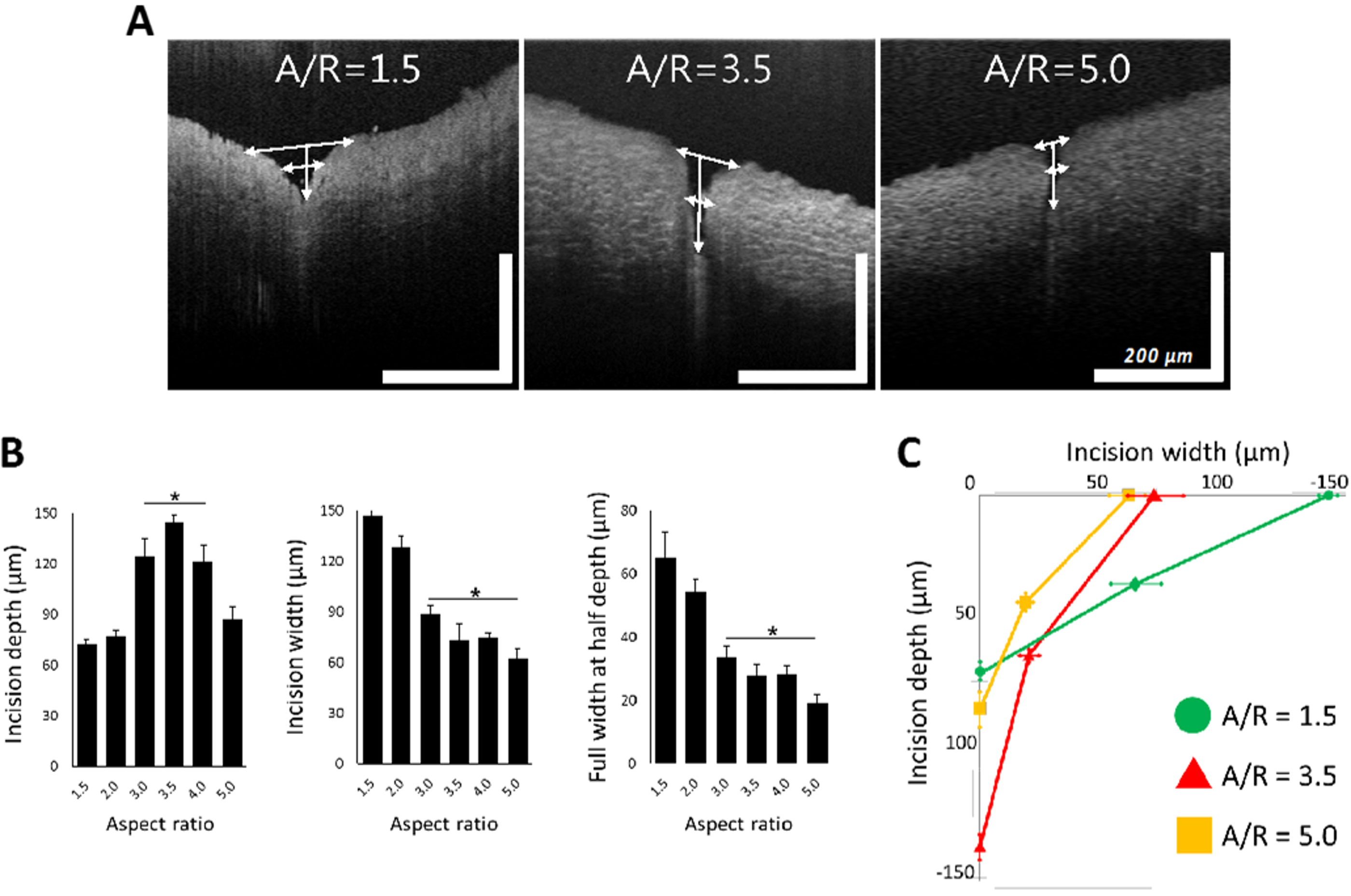 Pharmaceutics 11 00100 g007 Pharmaceutics 11 00100 g007