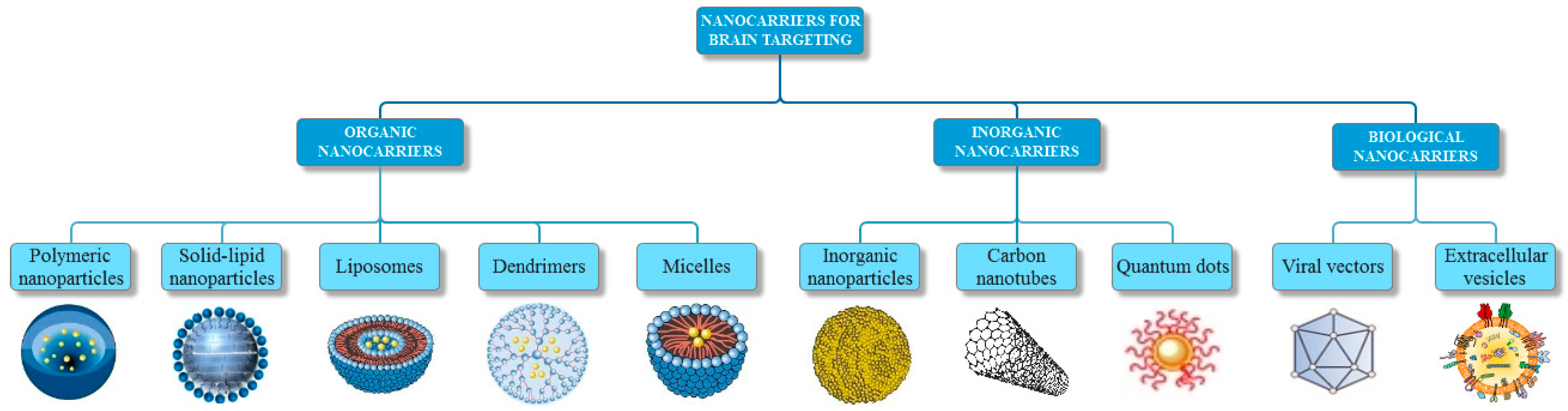 Pharmaceutics 11 00101 g001 Pharmaceutics 11 00101 g001