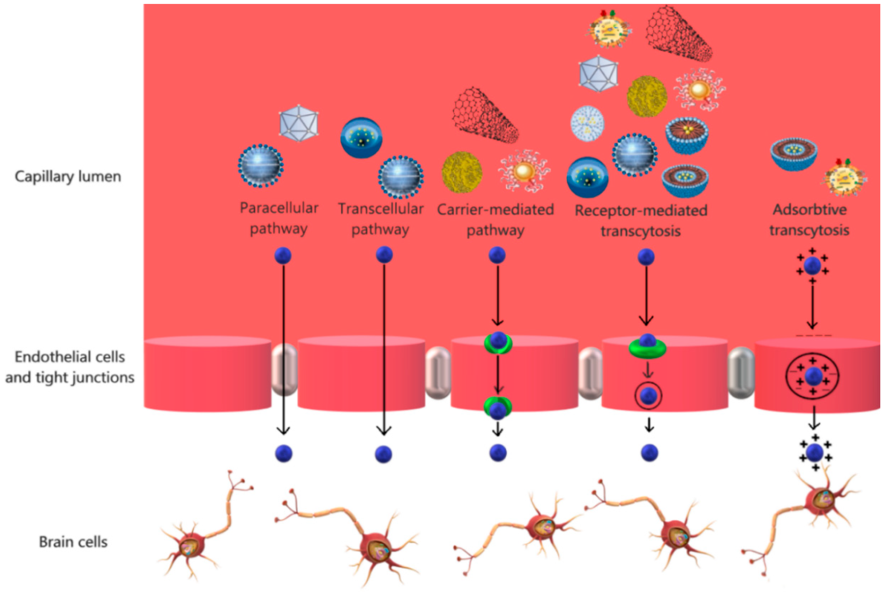 Pharmaceutics 11 00101 g002 Pharmaceutics 11 00101 g002