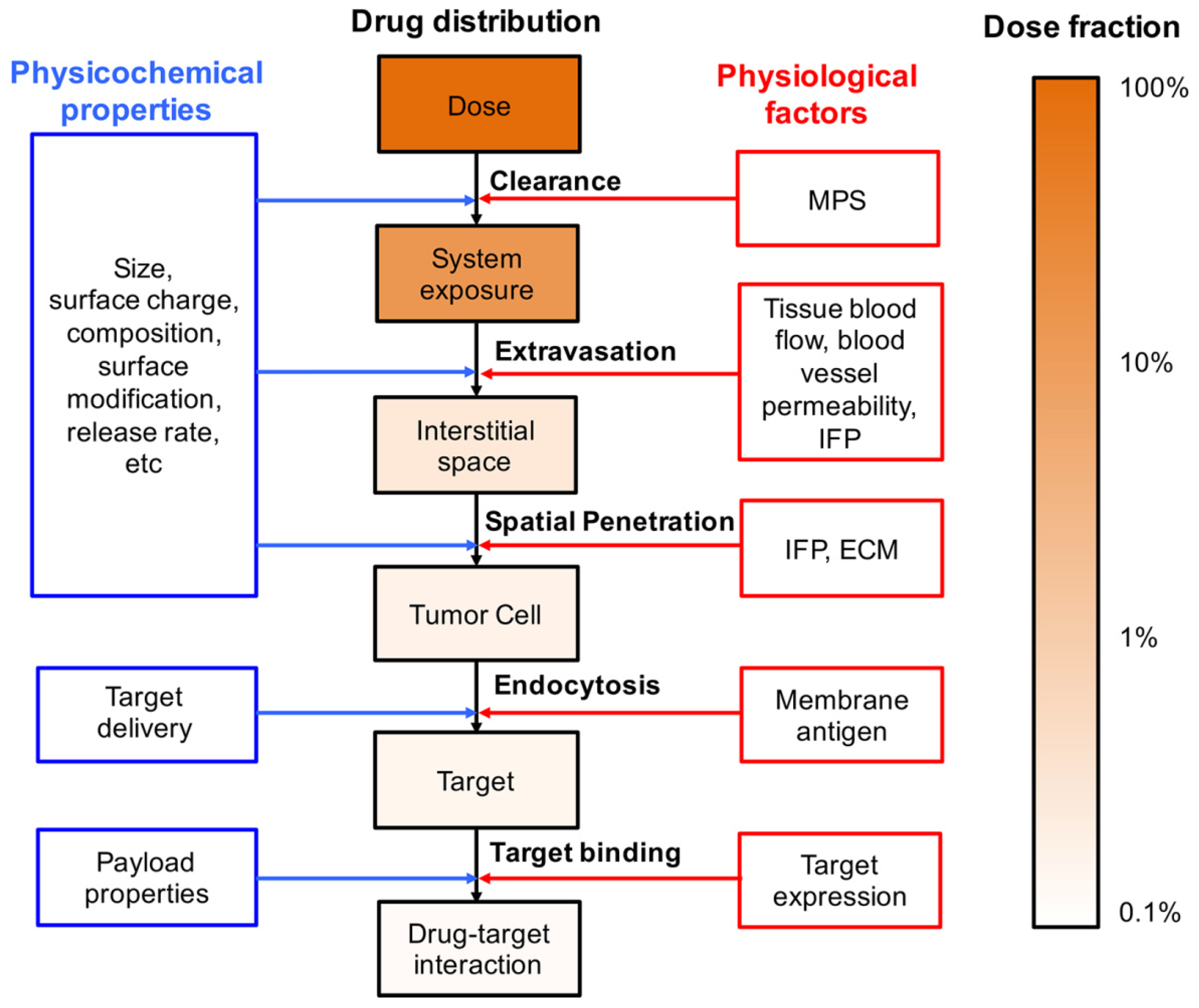 Pharmaceutics 11 00110 g001 Pharmaceutics 11 00110 g001