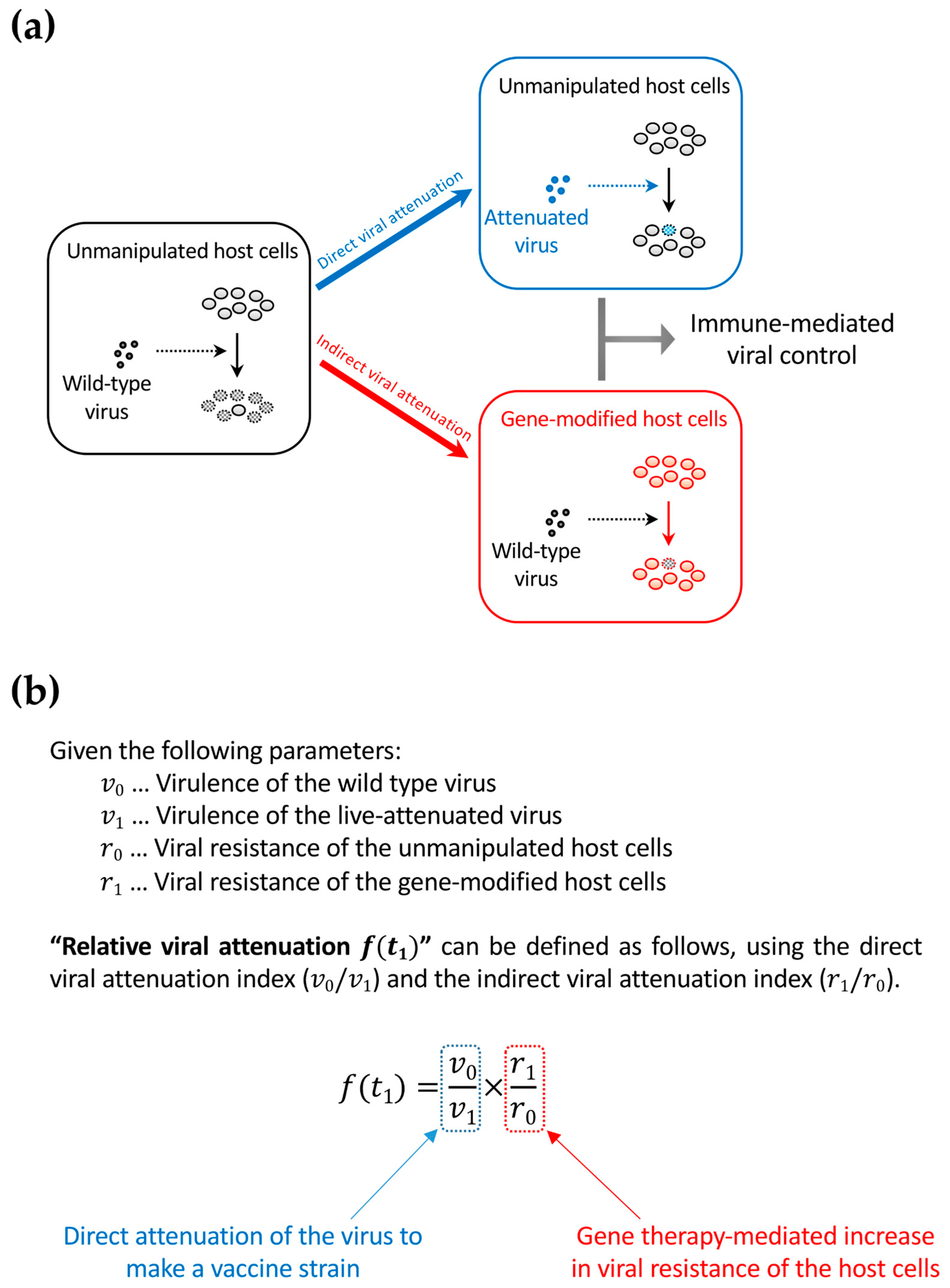 Pharmaceutics 11 00114 g004