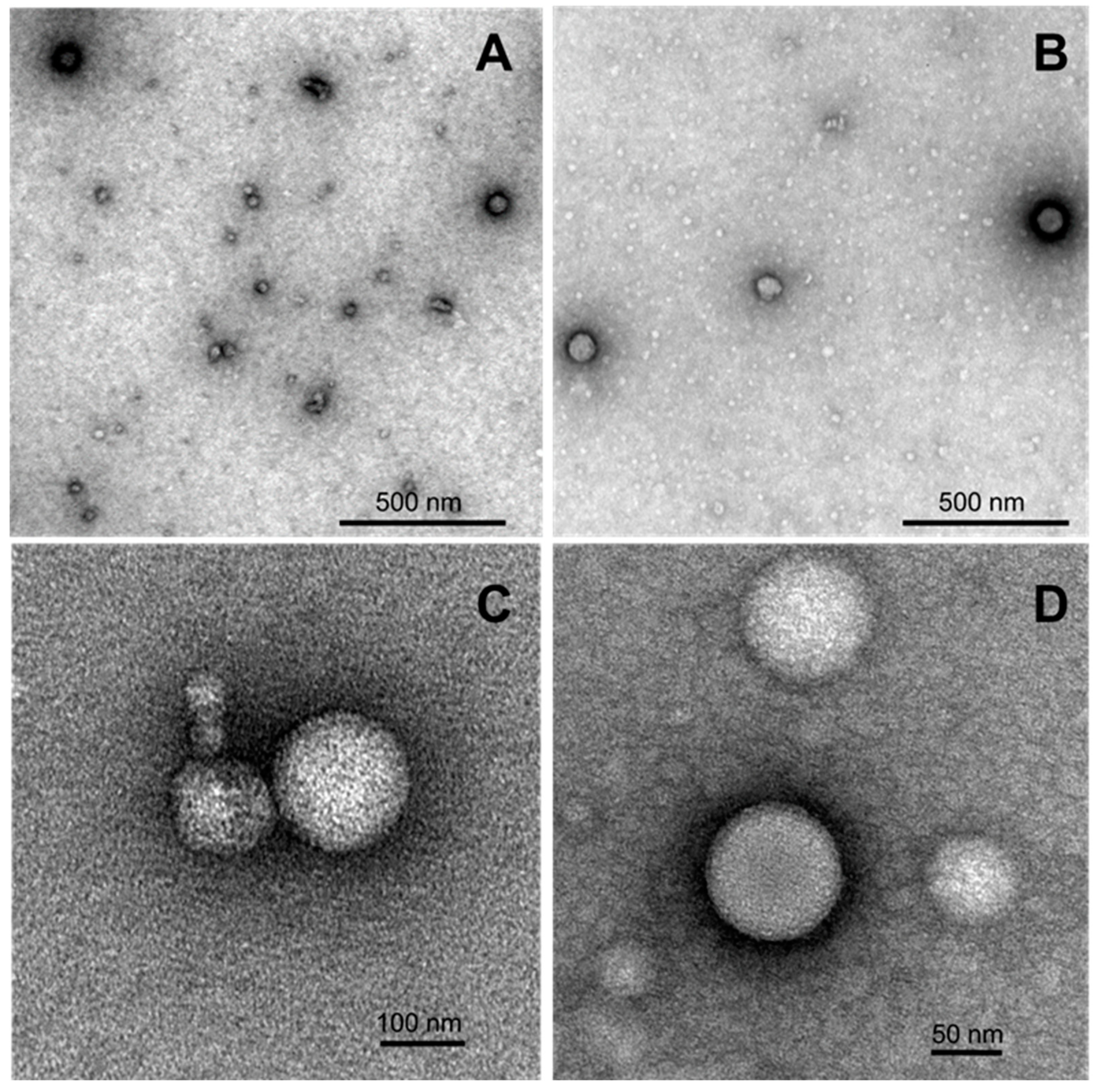Pharmaceutics 11 00115 g005