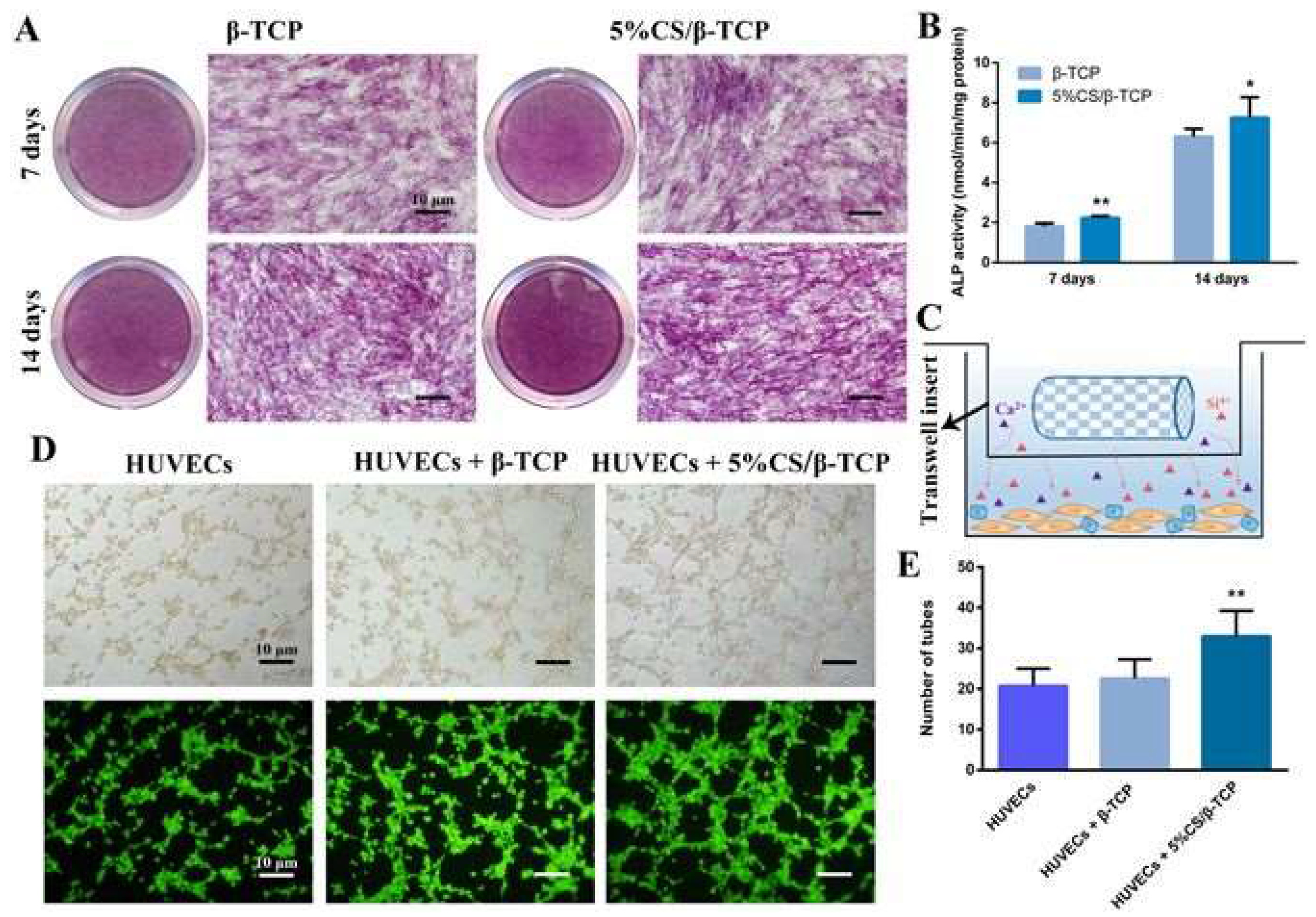 Pharmaceutics 11 00117 g004