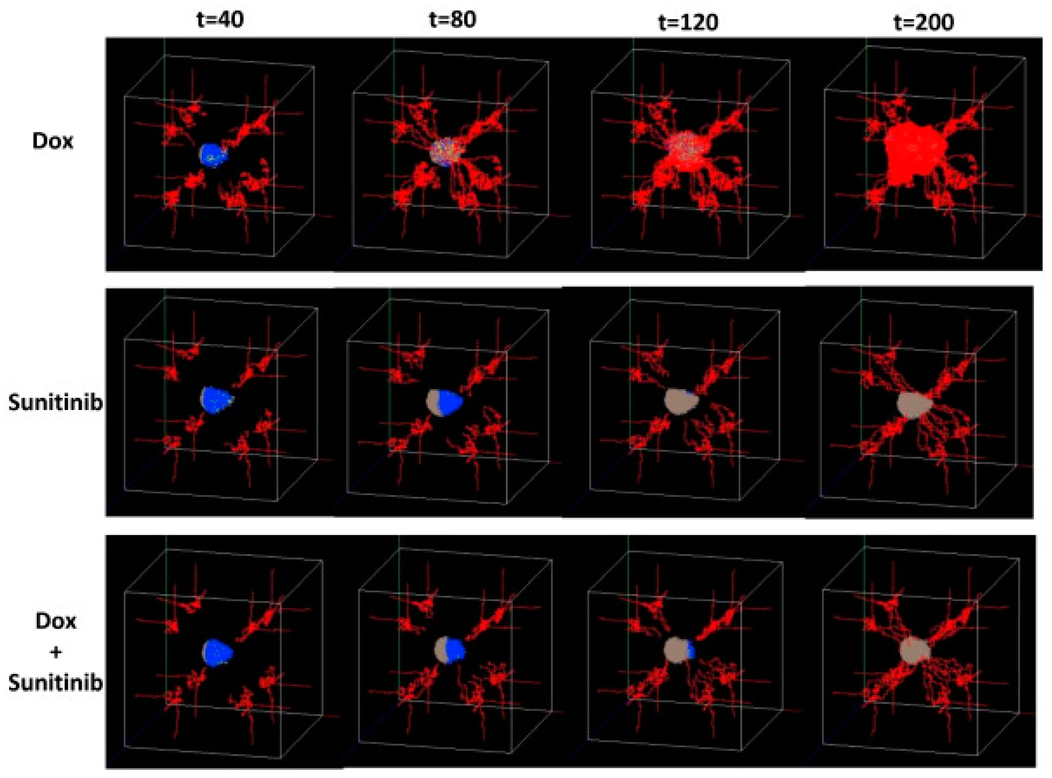 Pharmaceutics 11 00119 g003