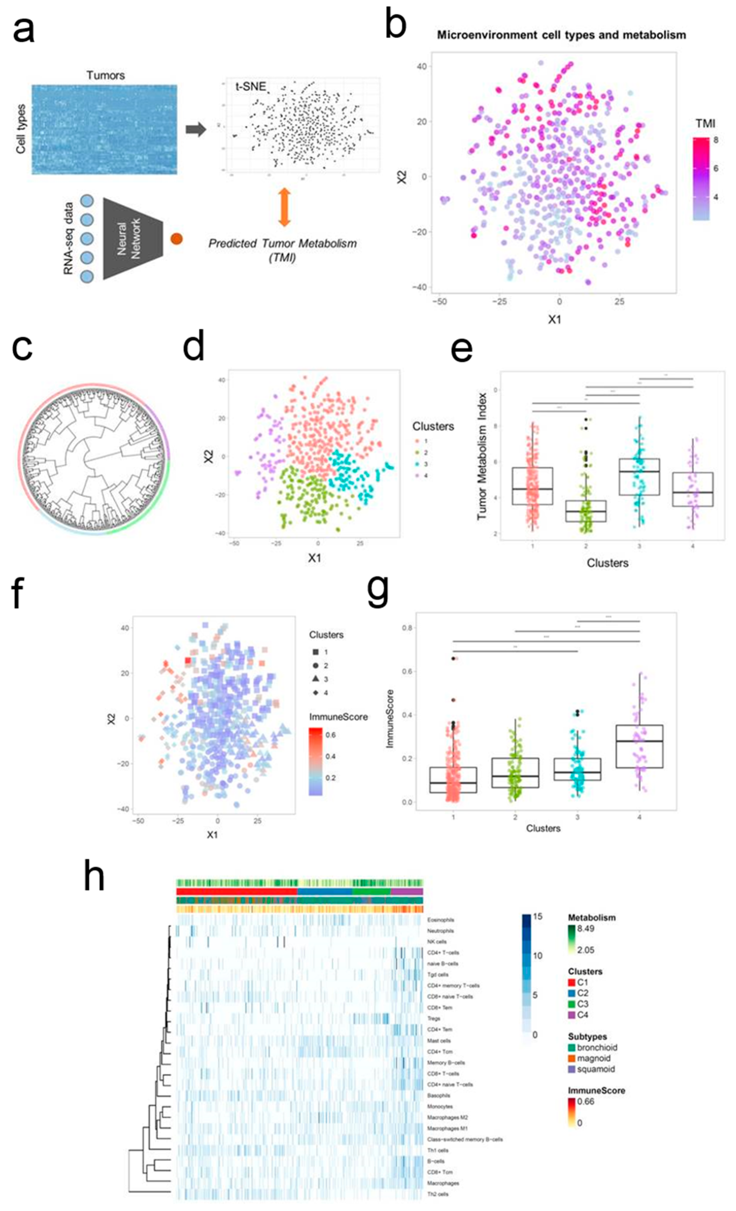 Pharmaceutics 11 00119 g004
