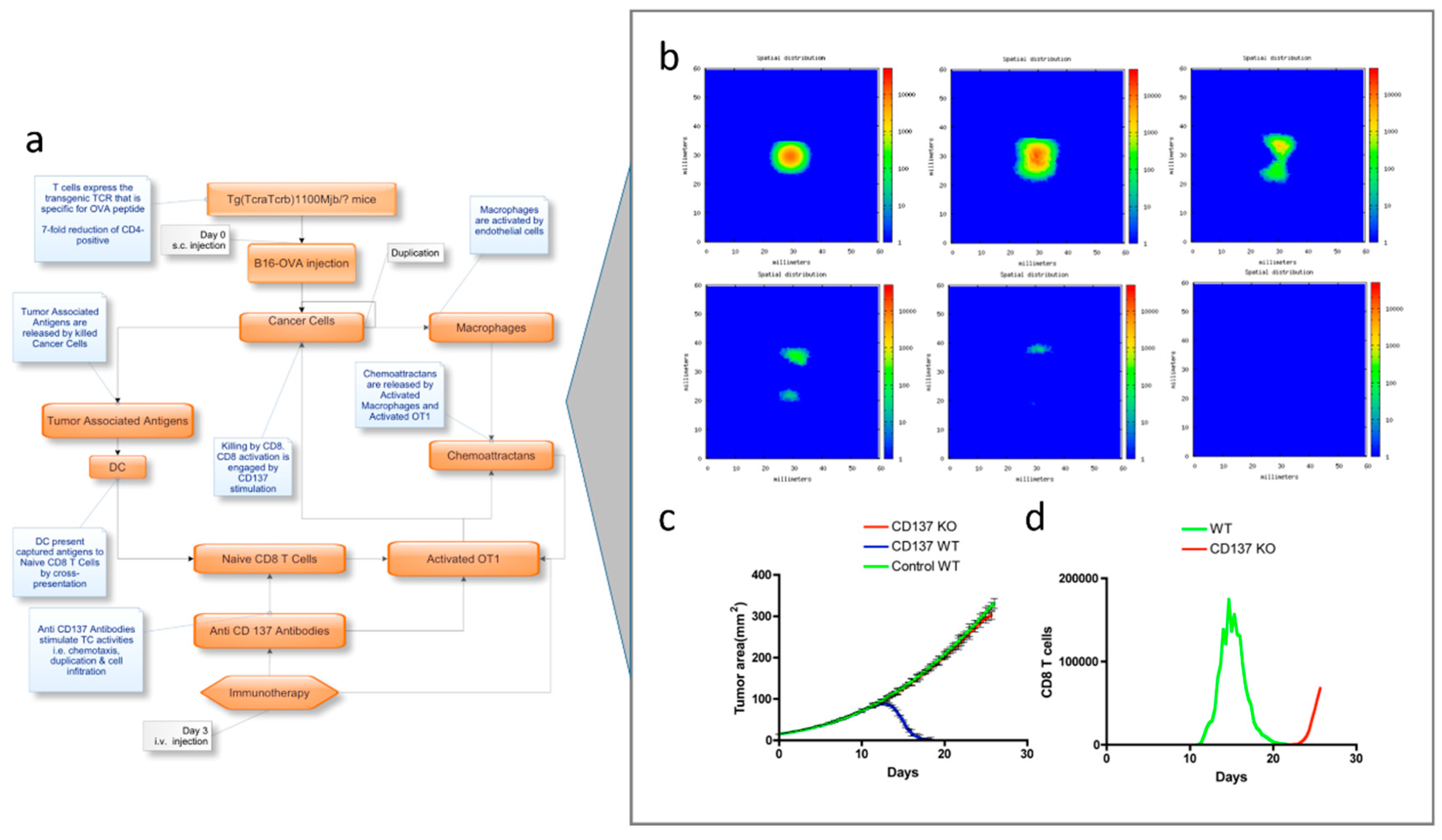 Pharmaceutics 11 00119 g005