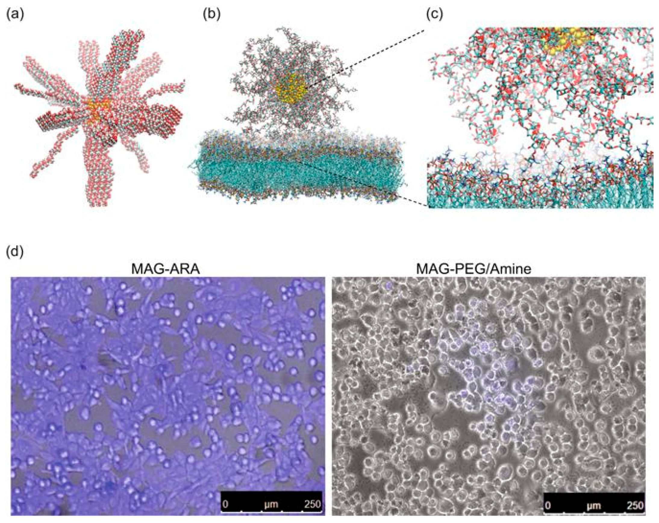 Pharmaceutics 11 00119 g006