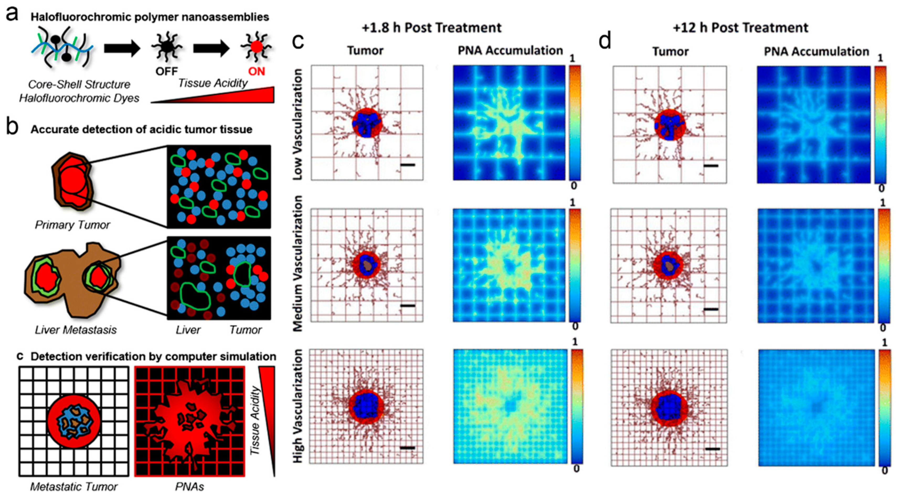 Pharmaceutics 11 00119 g009