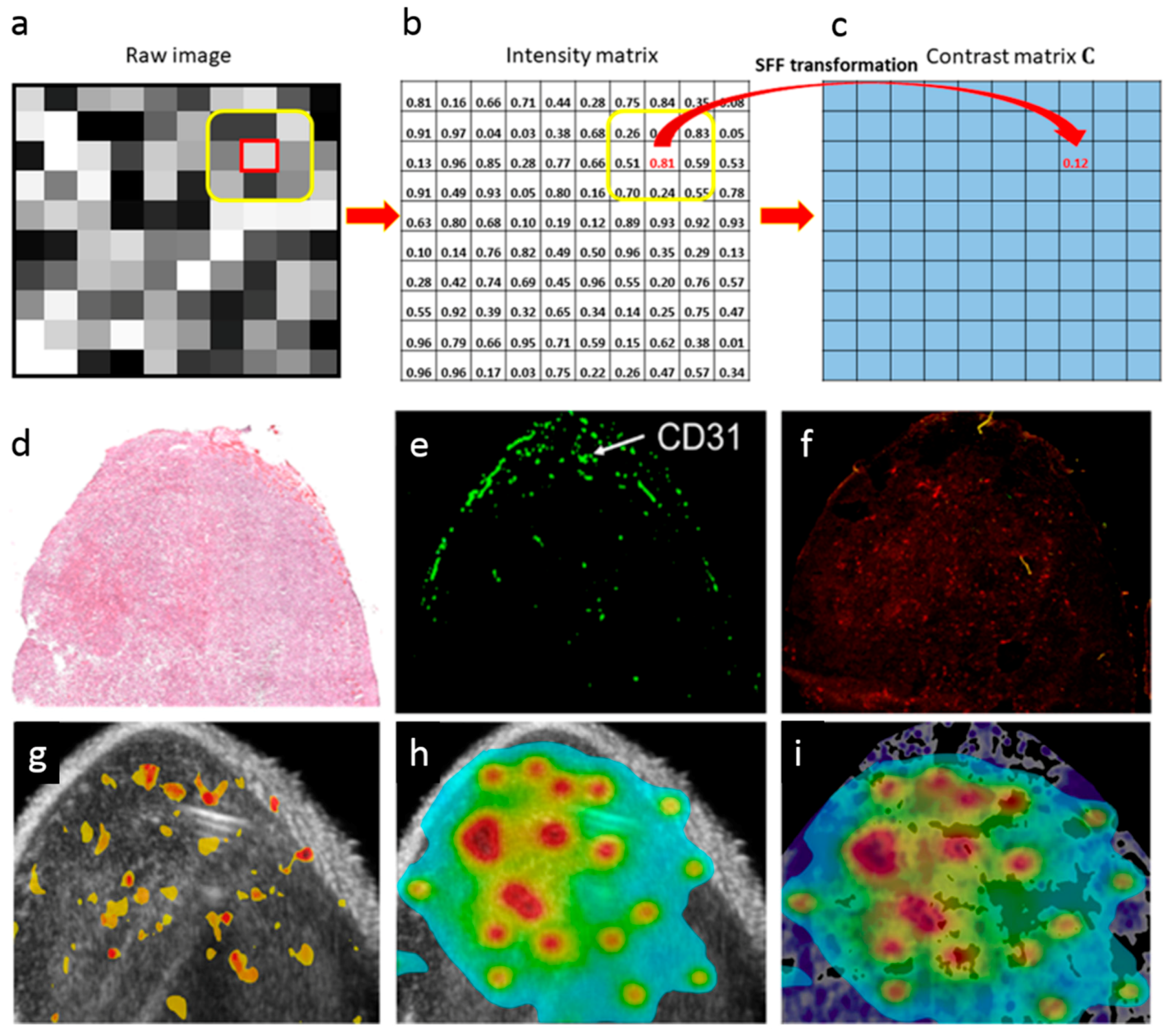 Pharmaceutics 11 00119 g010