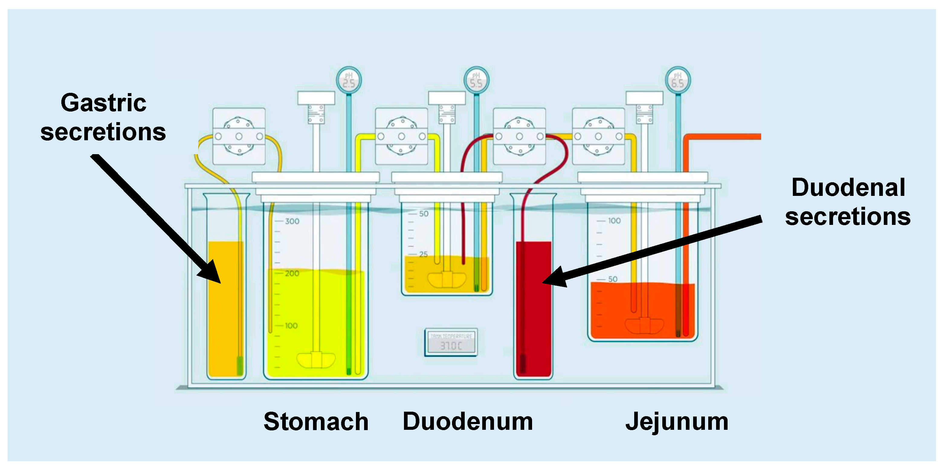 Pharmaceutics 11 00122 g001