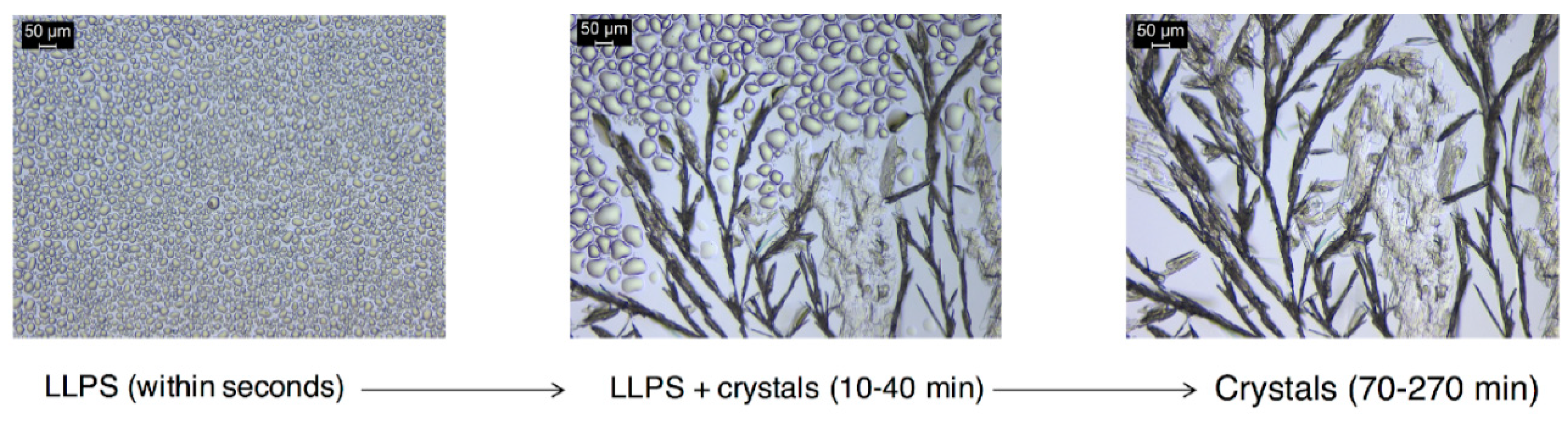 Pharmaceutics 11 00122 g008