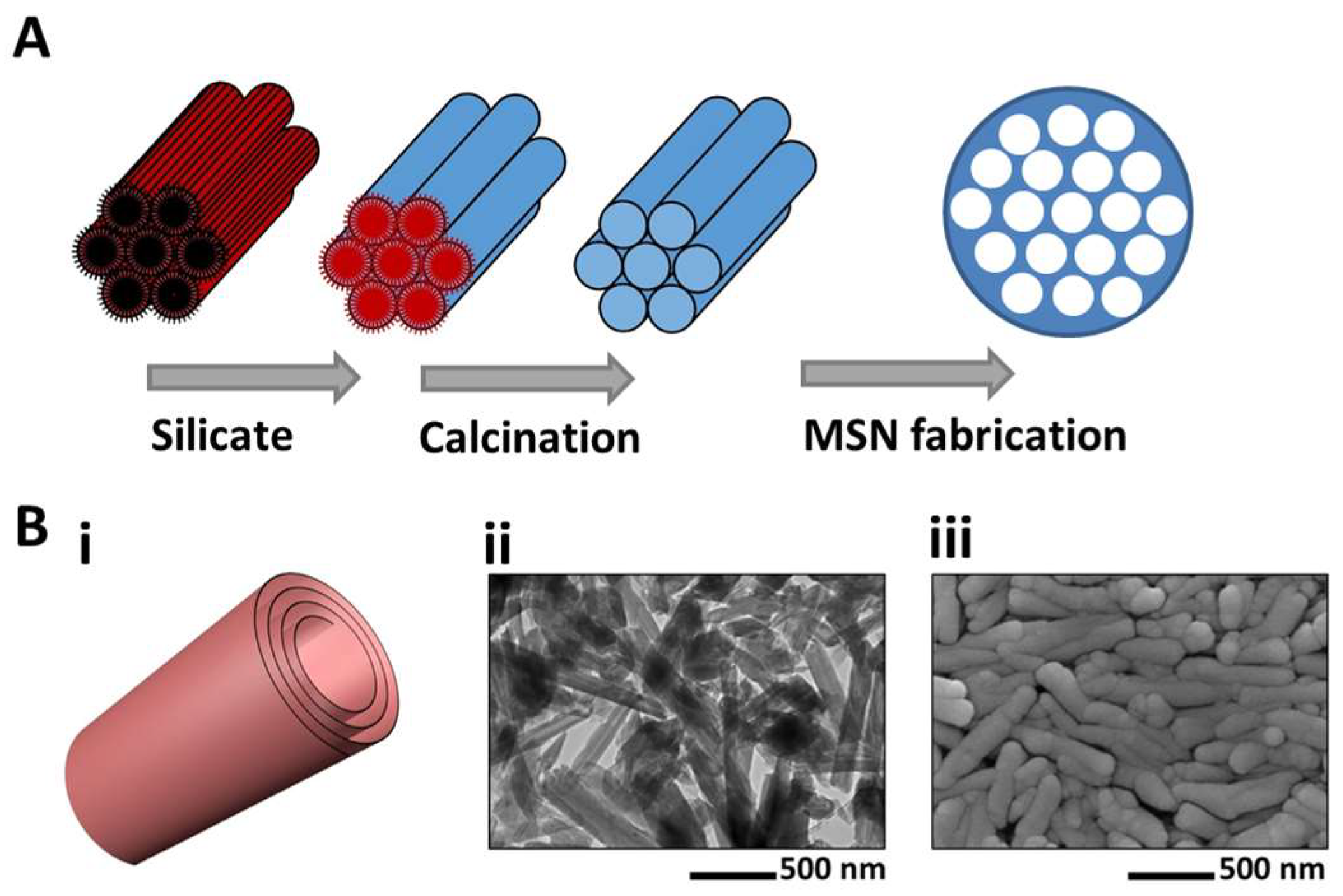 Pharmaceutics 11 00129 g005