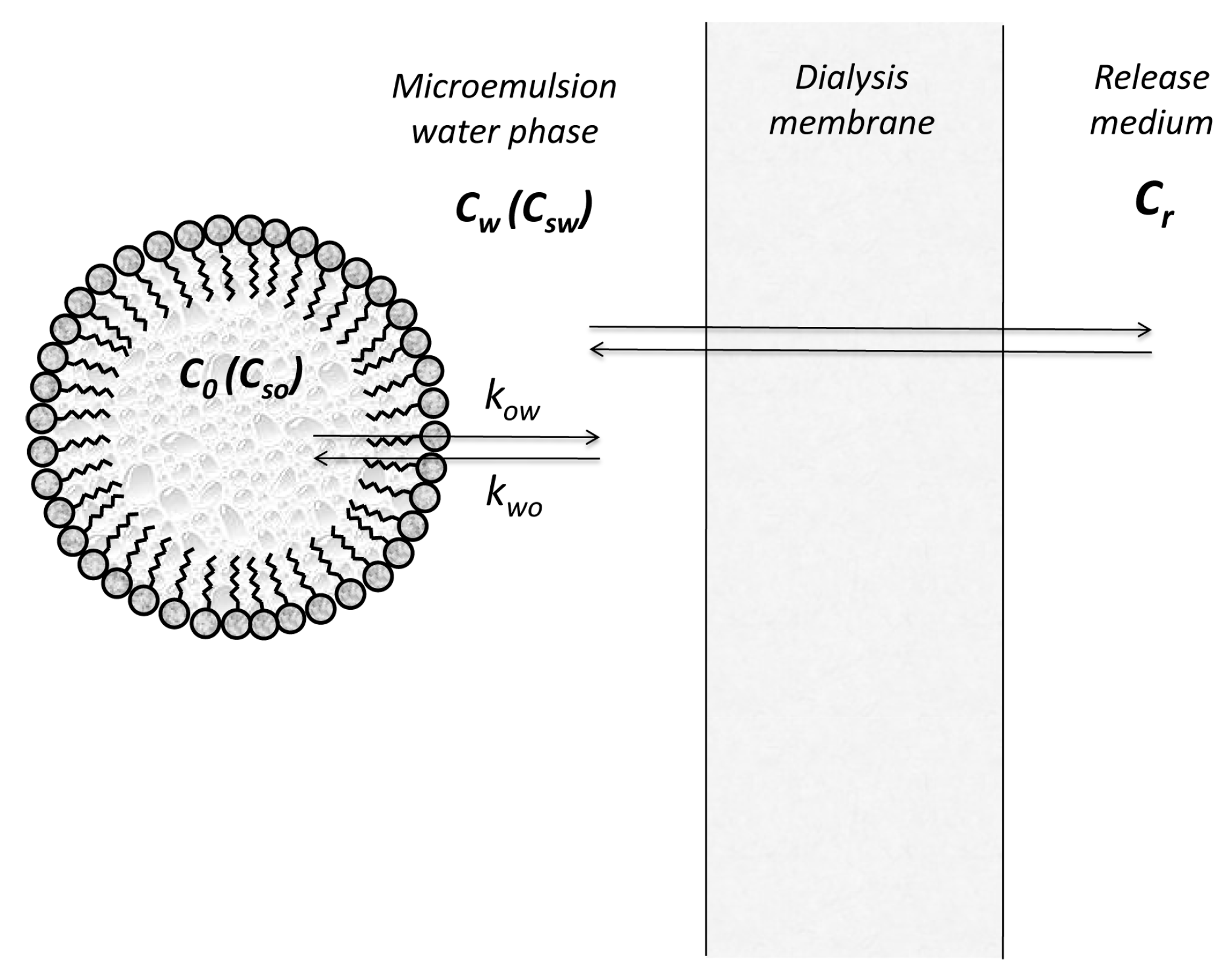 Pharmaceutics 11 00140 g002