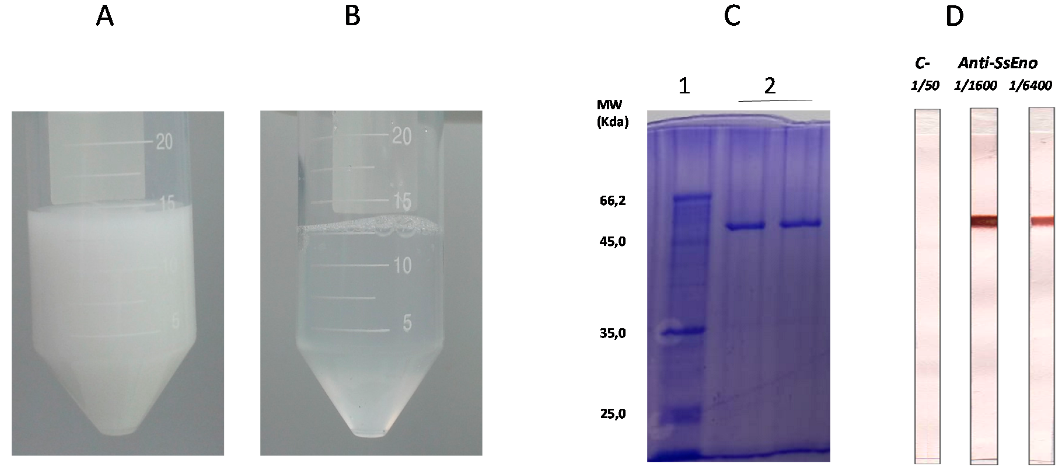 Pharmaceutics 11 00144 g001