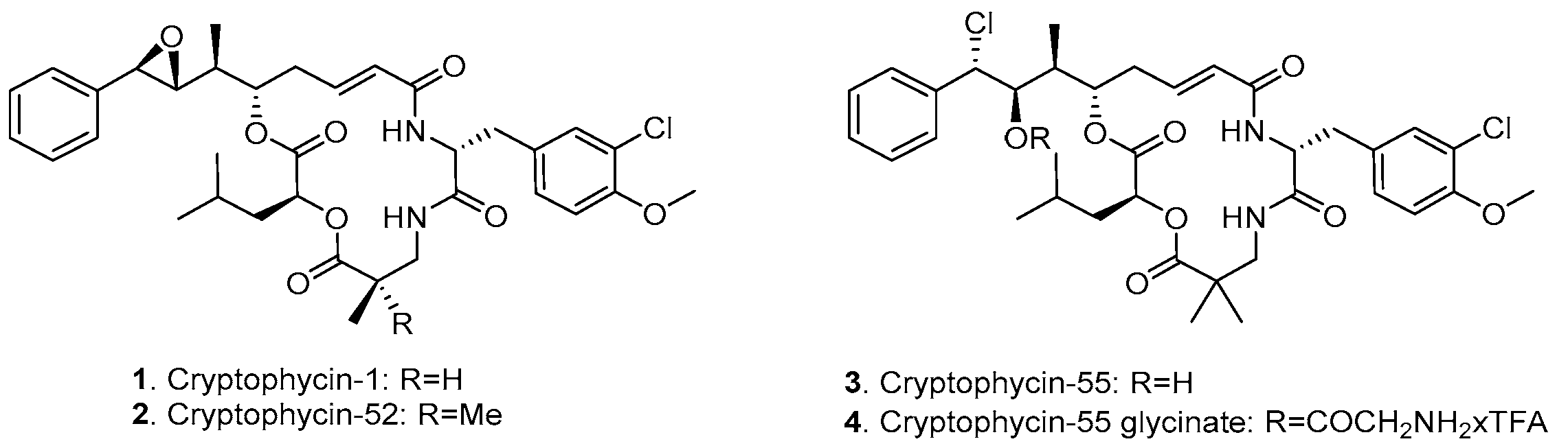 Pharmaceutics 11 00151 g001