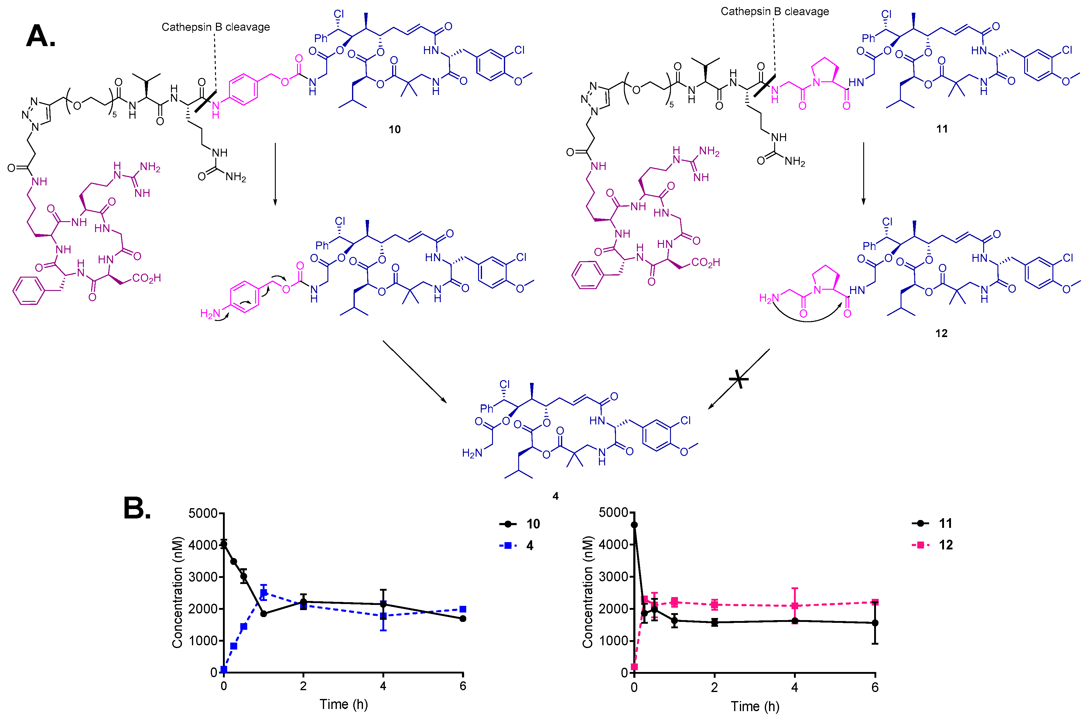Pharmaceutics 11 00151 g003