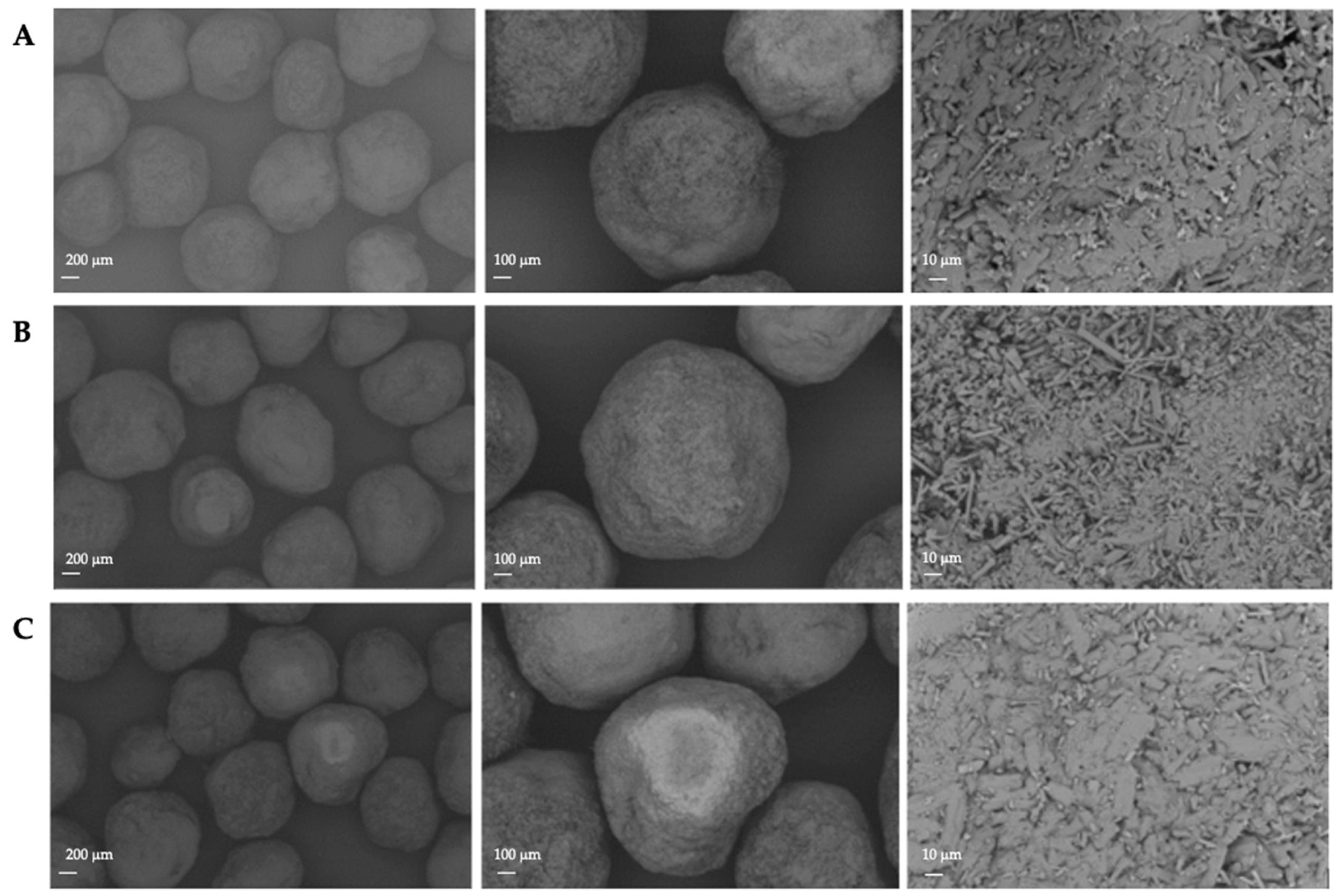Pharmaceutics 11 00154 g011 Pharmaceutics 11 00154 g011