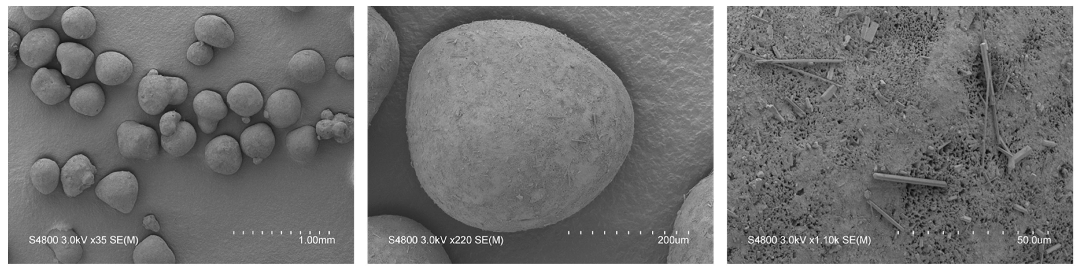 Pharmaceutics 11 00154 g013 Pharmaceutics 11 00154 g013