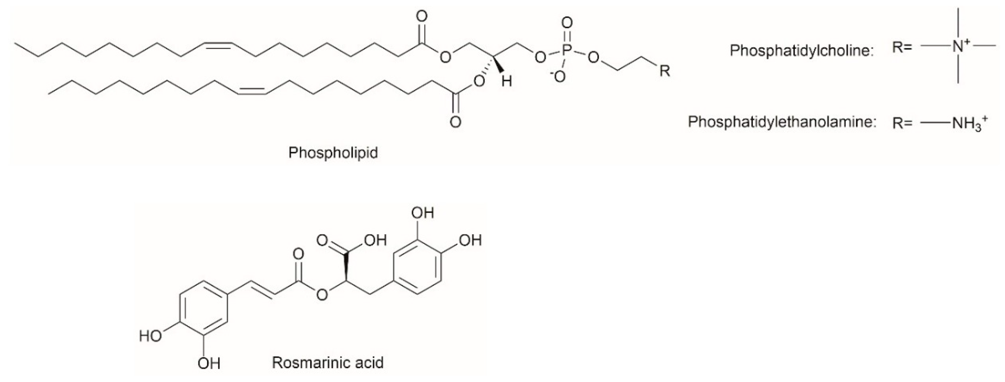 Pharmaceutics 11 00156 g001 Pharmaceutics 11 00156 g001