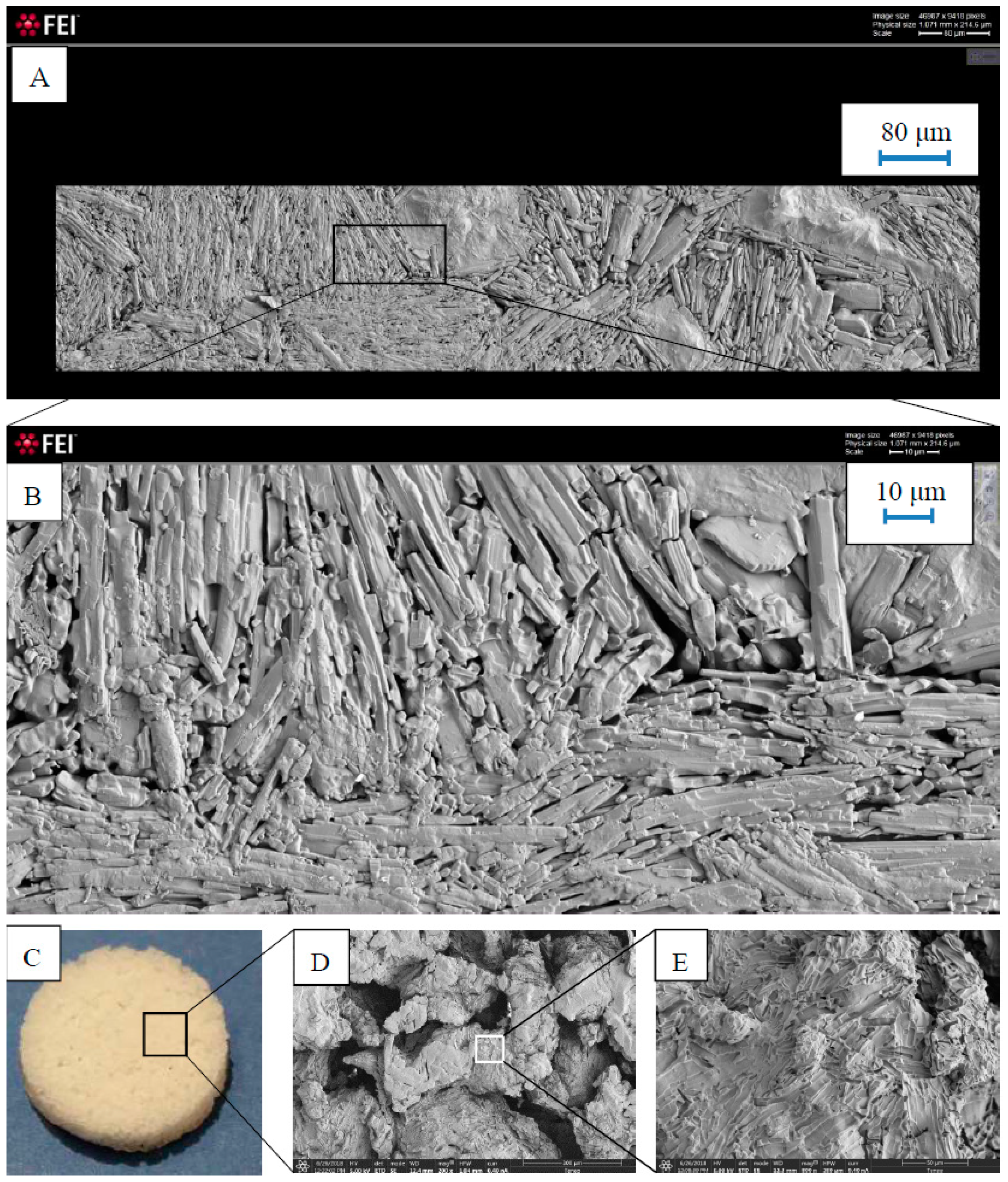 Pharmaceutics 11 00157 g005