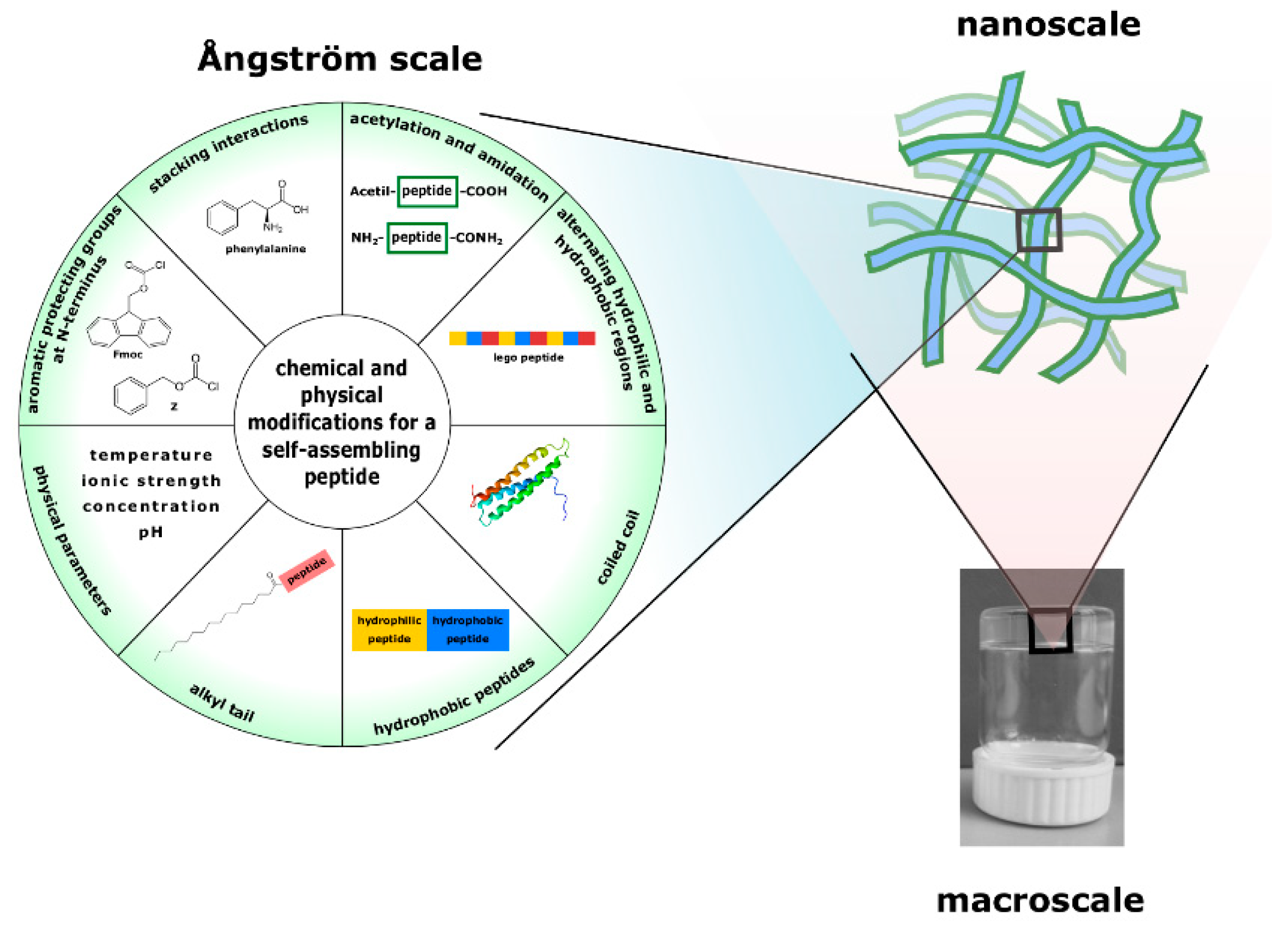 Pharmaceutics 11 00166 g001