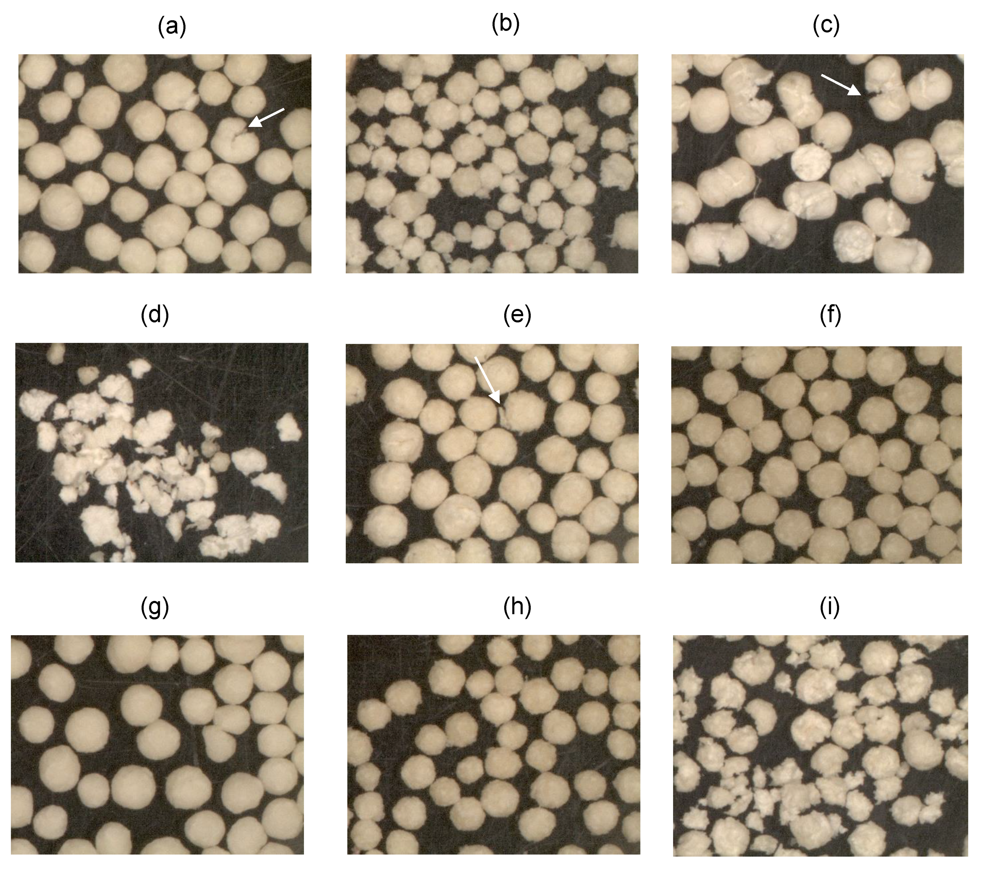 Pharmaceutics 11 00175 g010 Pharmaceutics 11 00175 g010