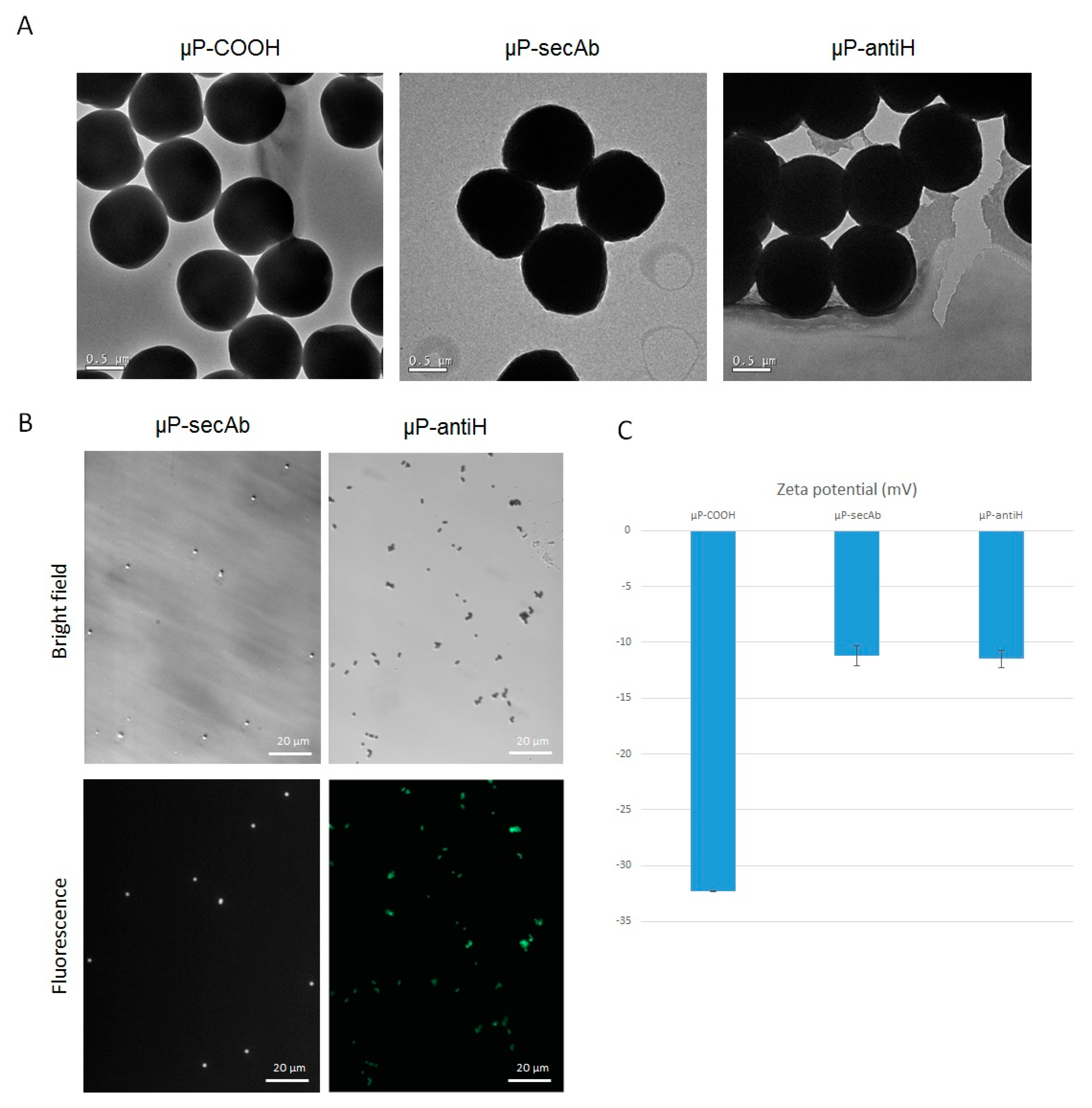 Pharmaceutics 11 00177 g001