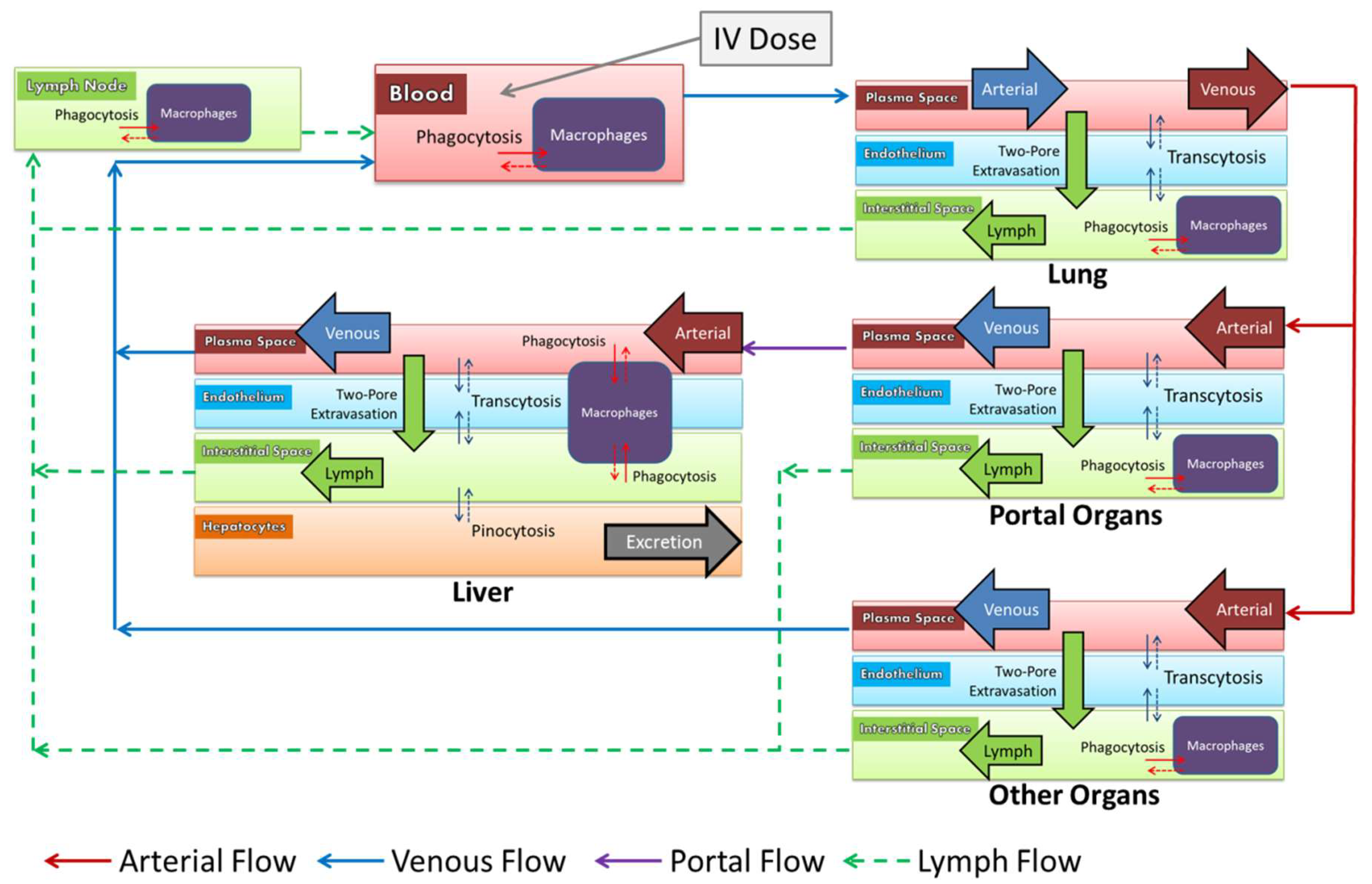 Pharmaceutics 11 00179 g002