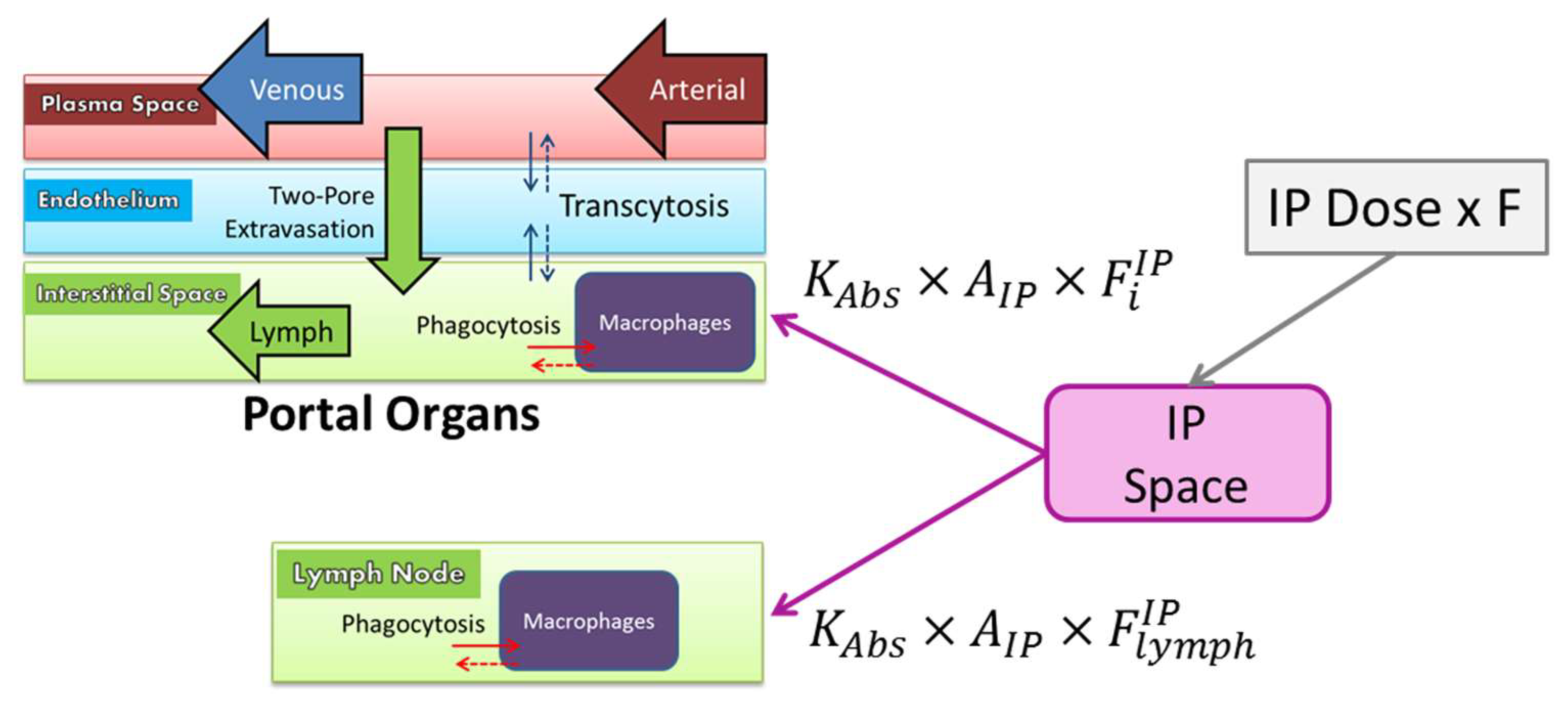 Pharmaceutics 11 00179 g003