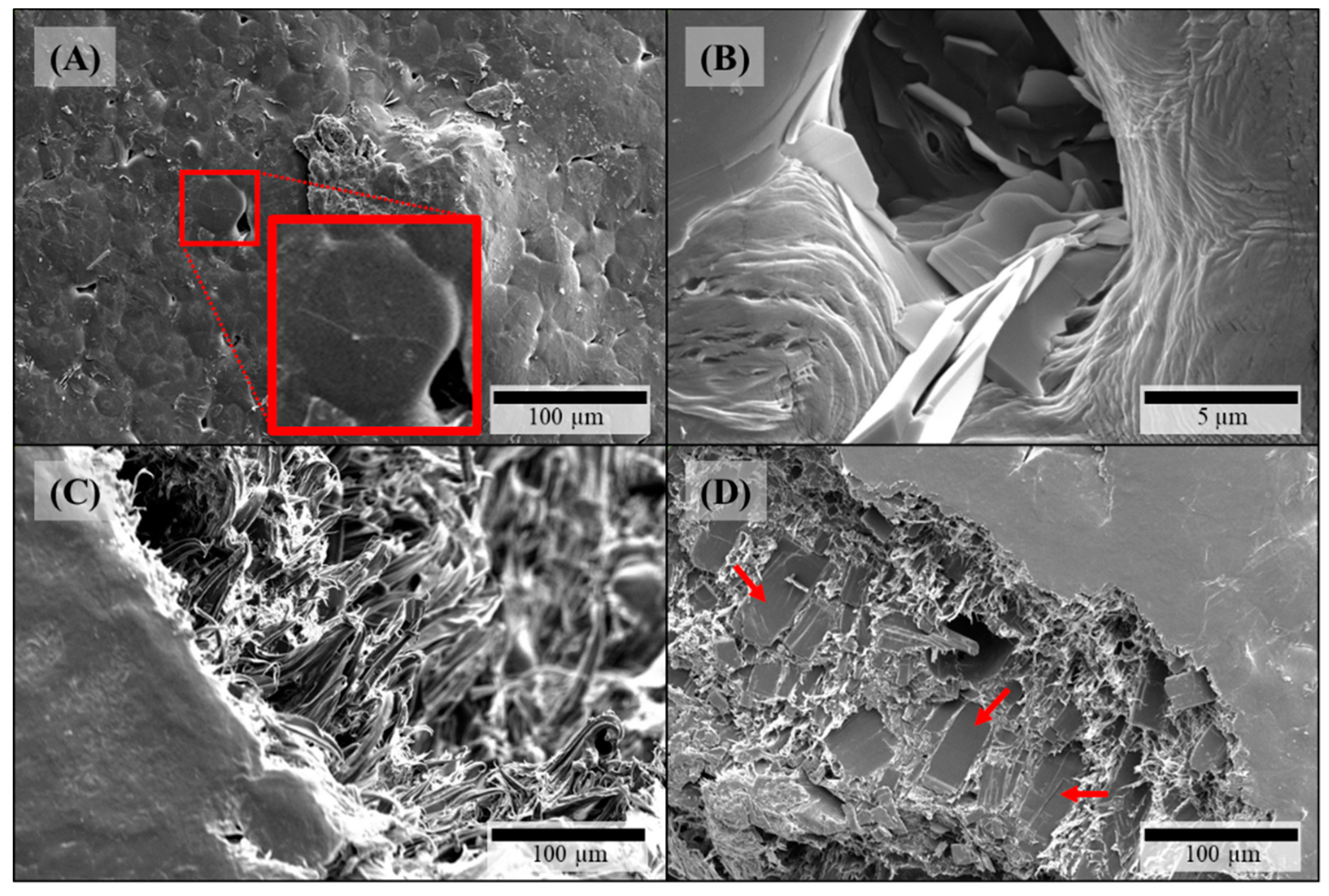 Pharmaceutics 11 00194 g004 Pharmaceutics 11 00194 g004