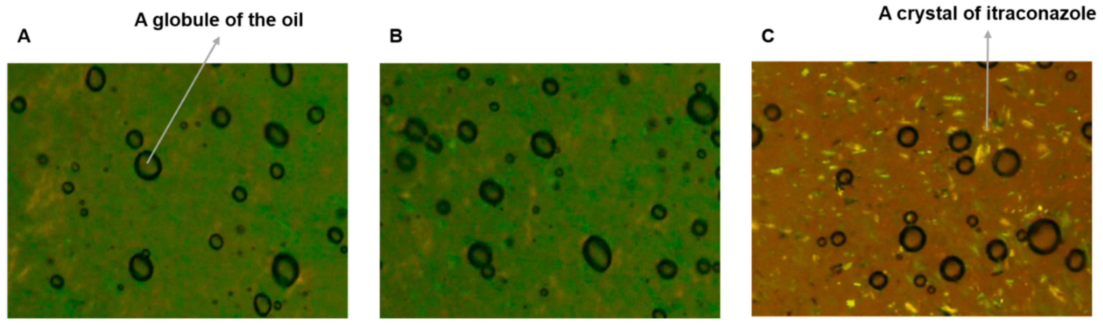 Pharmaceutics 11 00195 g001 Pharmaceutics 11 00195 g001
