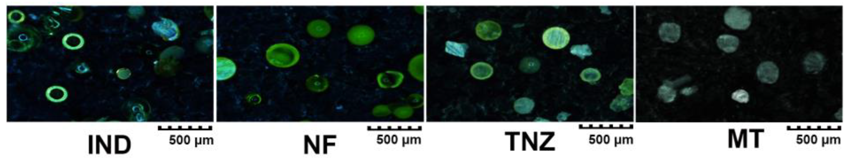 Pharmaceutics 11 00198 g002