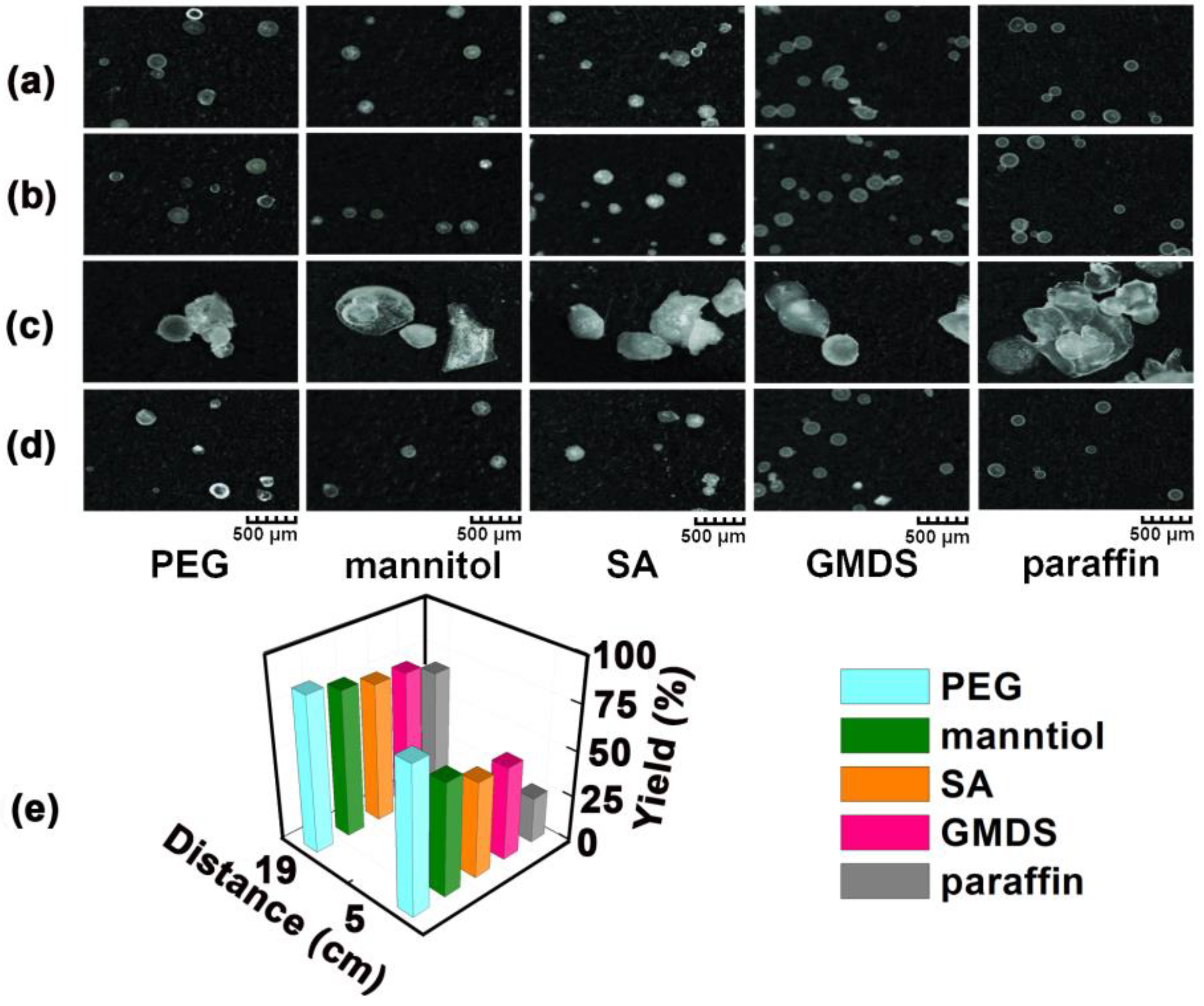 Pharmaceutics 11 00198 g005