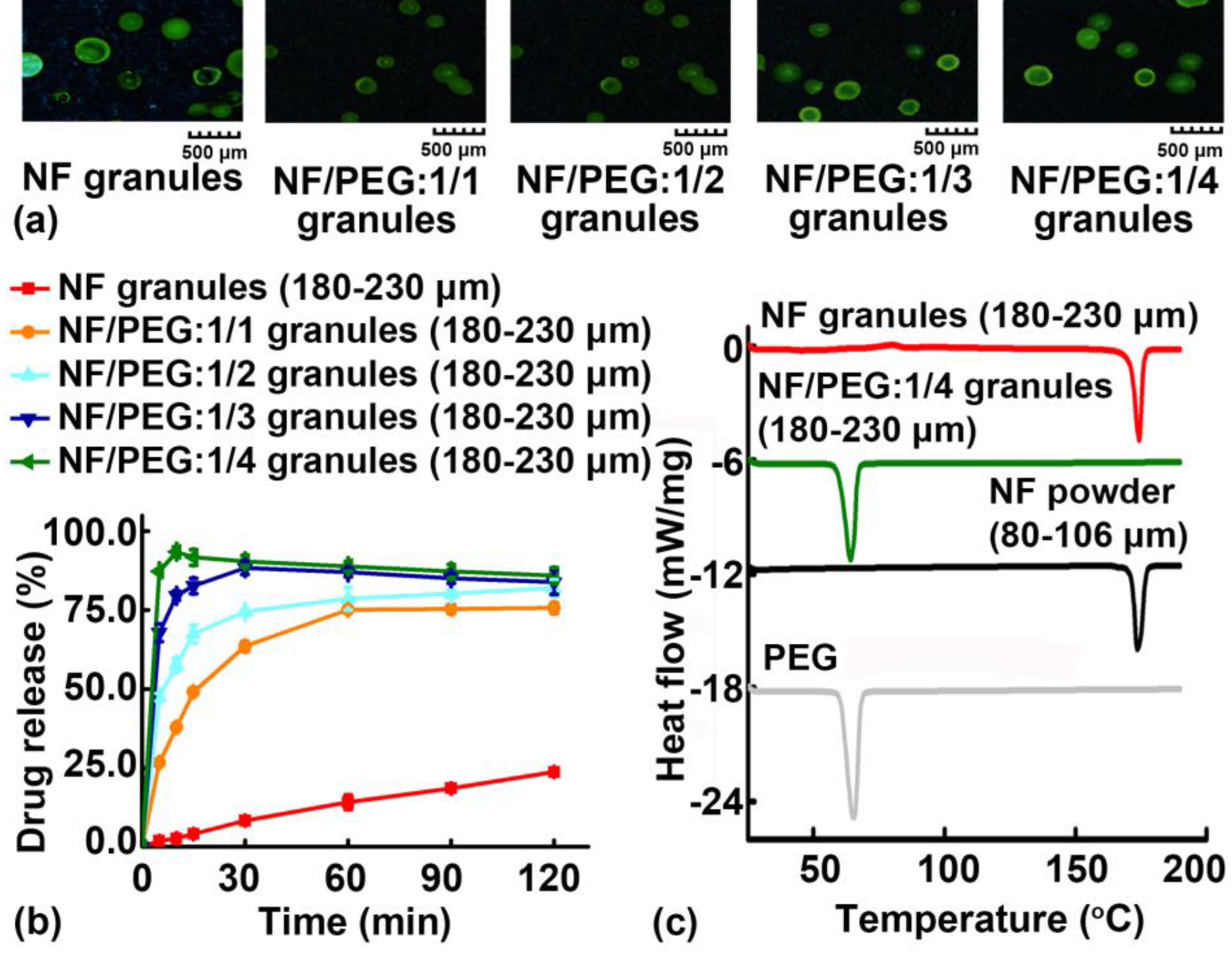 Pharmaceutics 11 00198 g010