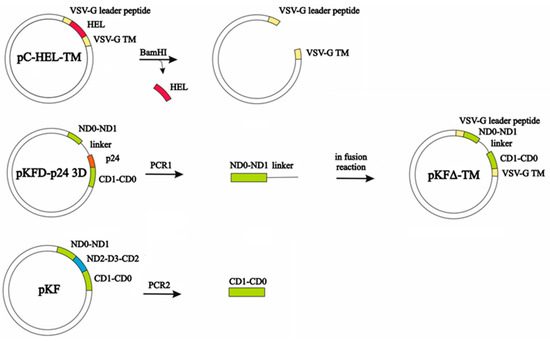 Pharmaceutics 11 00204 g0a1