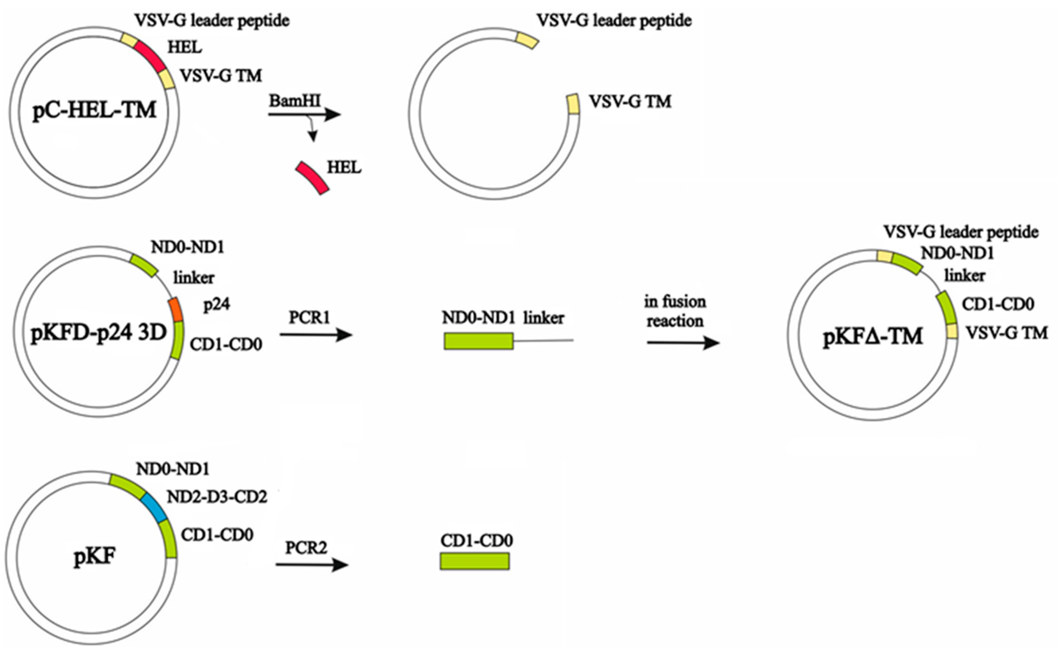 Pharmaceutics 11 00204 g0a1 Pharmaceutics 11 00204 g0a1