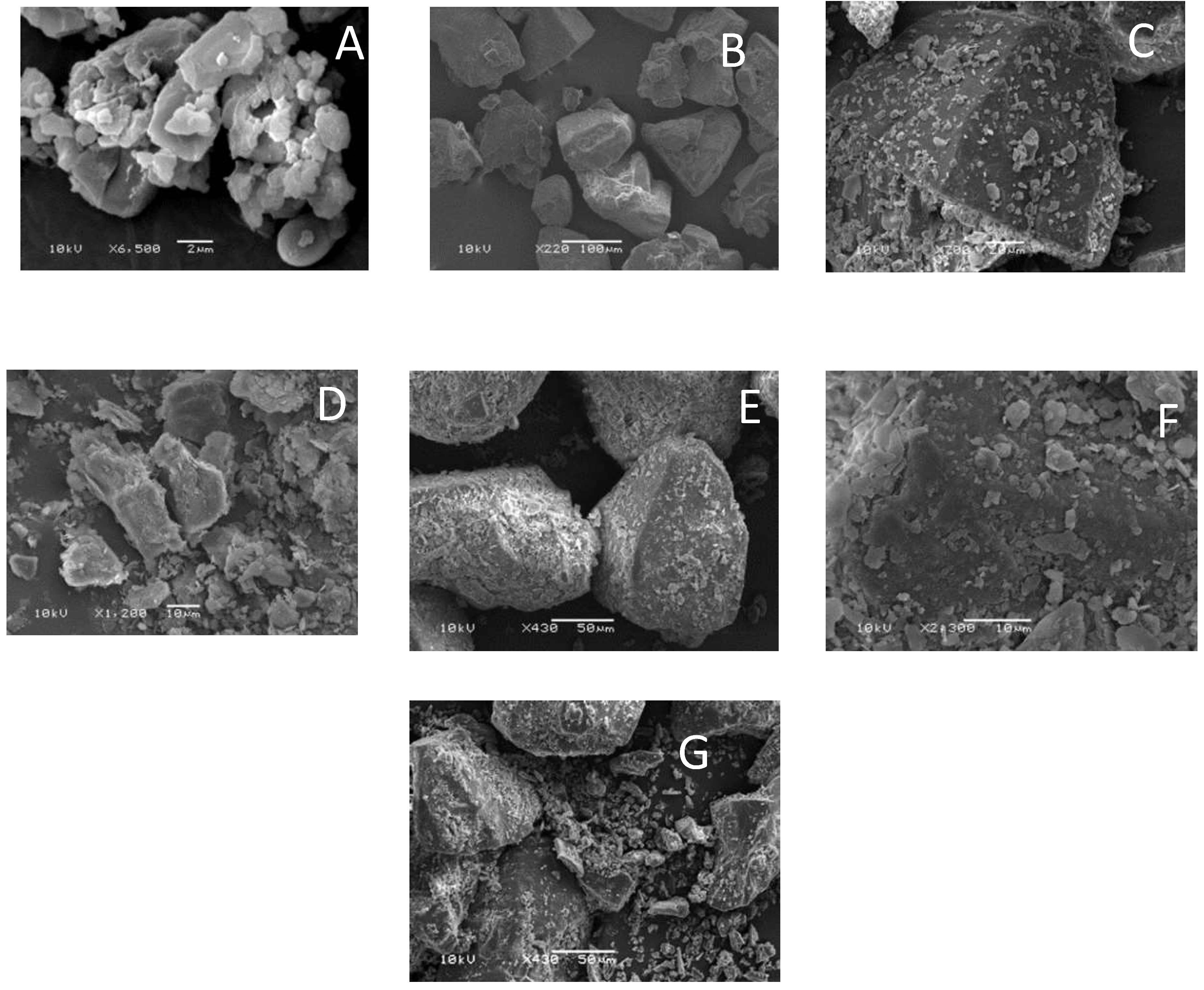 Pharmaceutics 11 00207 g007