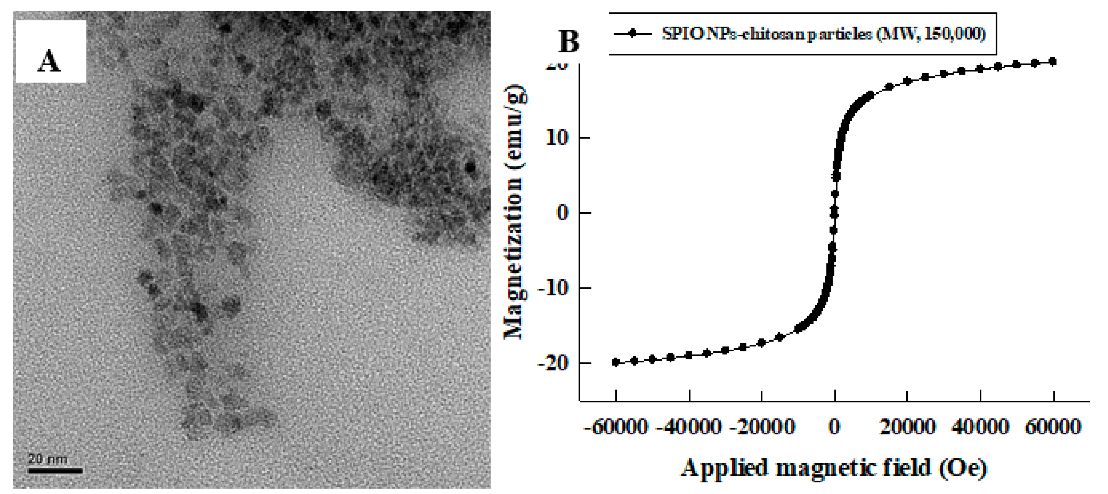 Pharmaceutics 11 00212 g006 Pharmaceutics 11 00212 g006