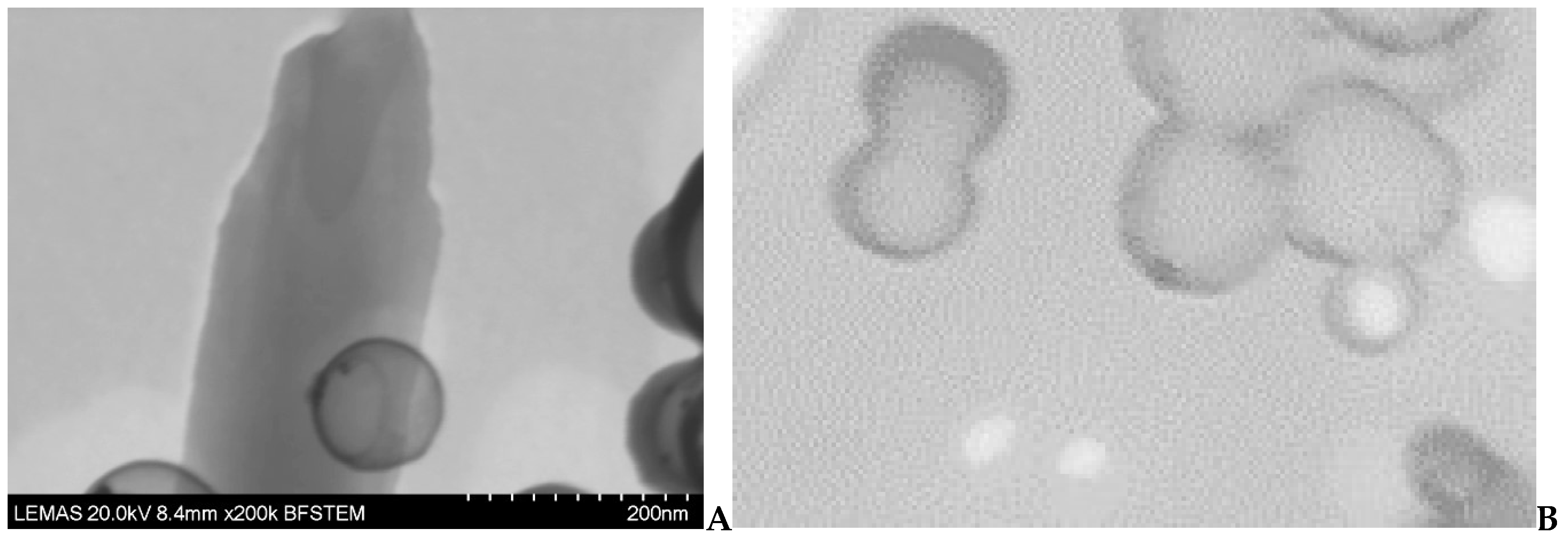 Pharmaceutics 11 00213 g005 Pharmaceutics 11 00213 g005