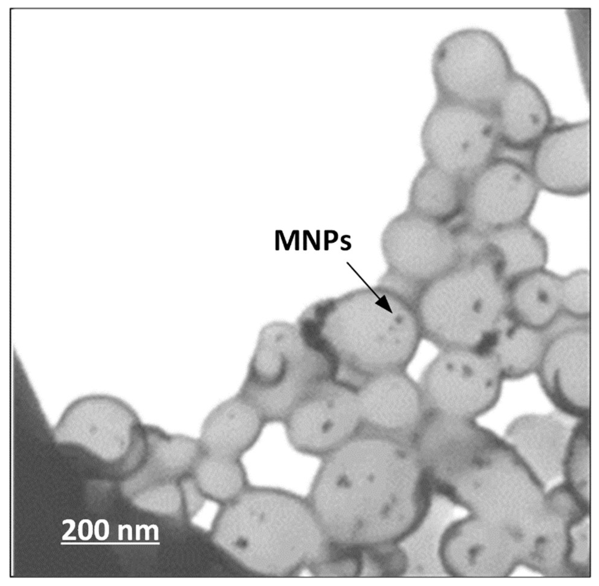 Pharmaceutics 11 00213 g008 Pharmaceutics 11 00213 g008
