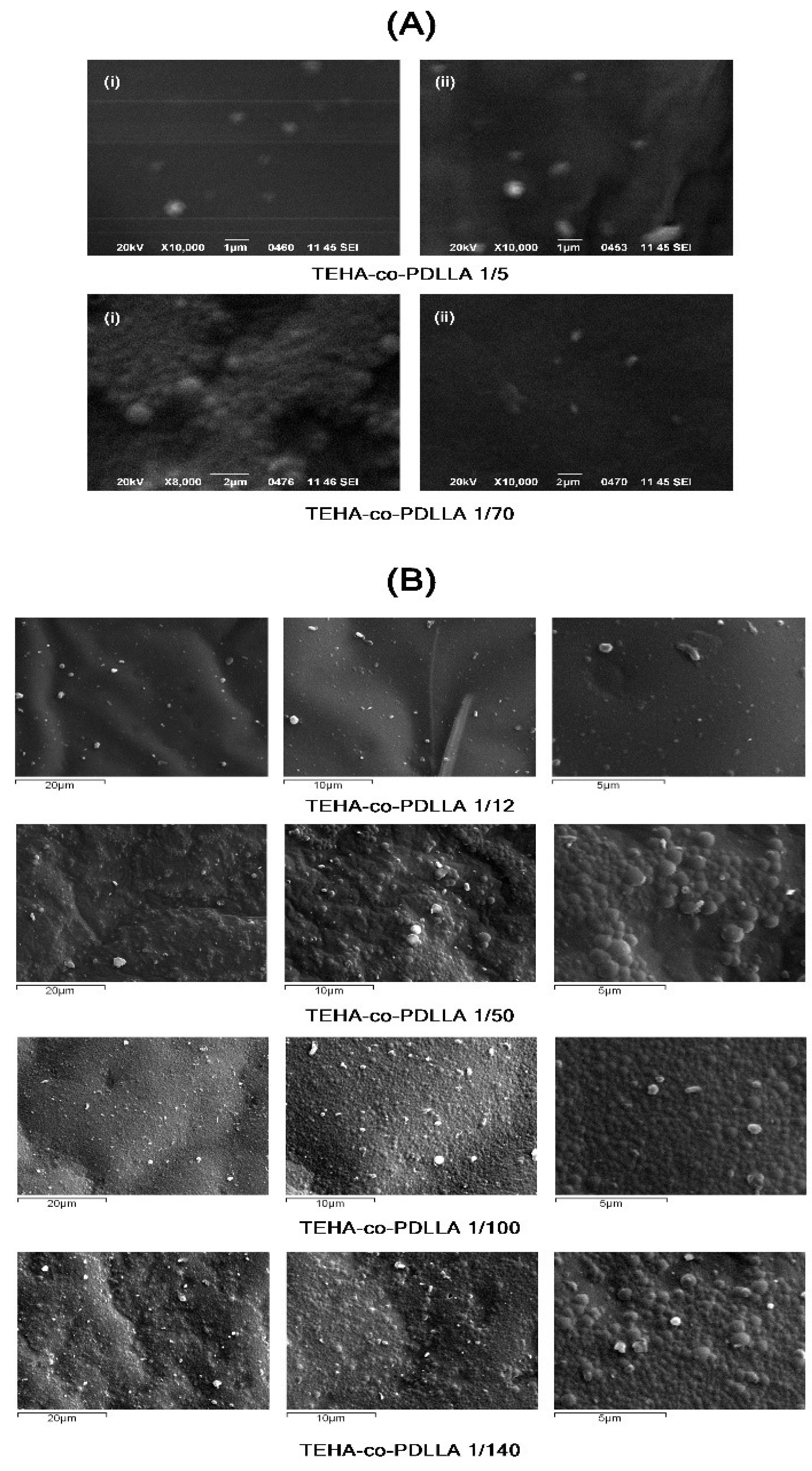Pharmaceutics 11 00213 g0a1 Pharmaceutics 11 00213 g0a1