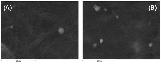 Pharmaceutics 11 00213 g0a2