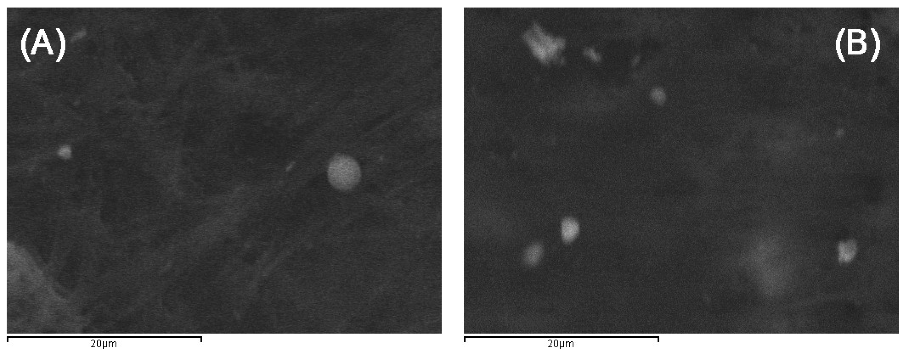 Pharmaceutics 11 00213 g0a2 Pharmaceutics 11 00213 g0a2
