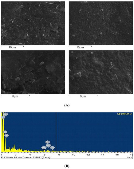Pharmaceutics 11 00213 g0a3